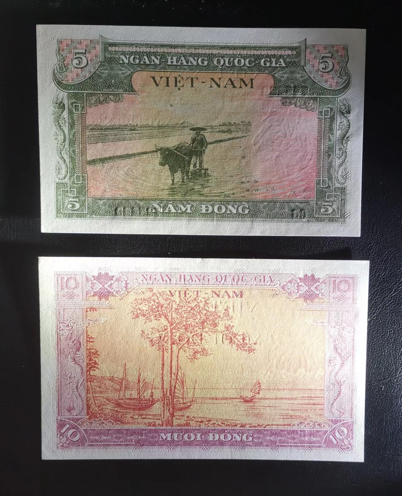 《张总收藏》146期-外币精品荟萃 (2张)南越1955年5盾&10盾UNC 纸币边缘轻微荧光反应 5盾背后一处拖墨点，10盾角不太尖，背后一处极小黄点