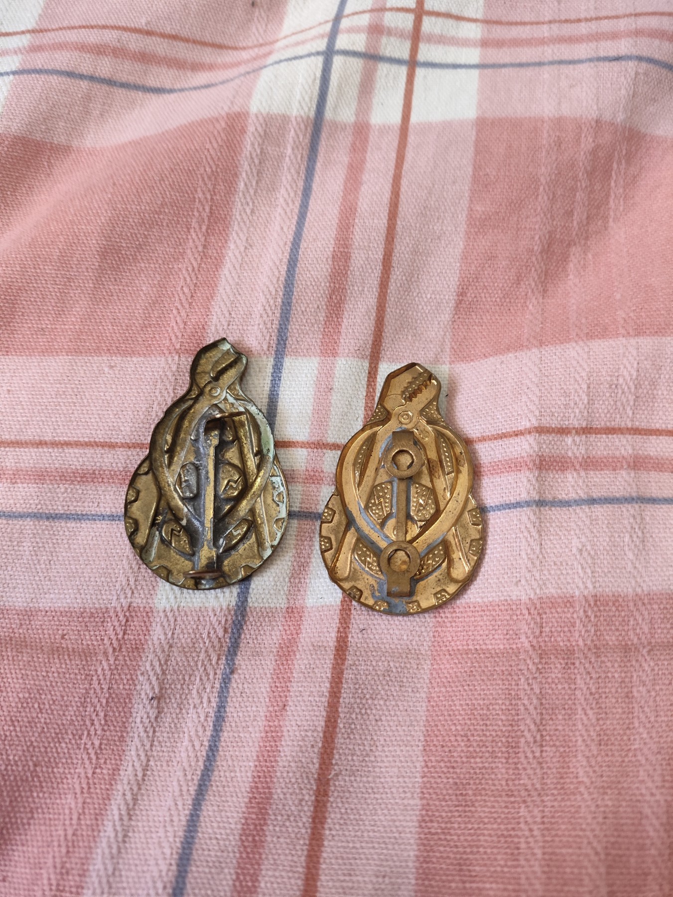 仁孝堂徽章红藏拍卖(第四场) 荷兰劳工组织领章一对 铜制