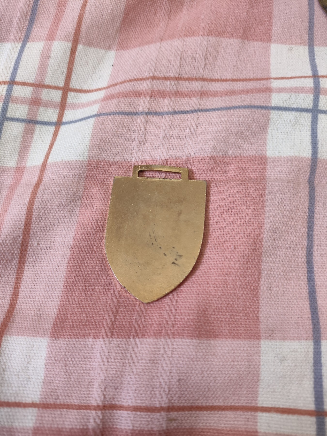 仁孝堂徽章红藏拍卖(第四场) 法国舟桥营部队证章