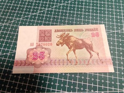 轻松集币无压力 - 白俄罗斯25卢布