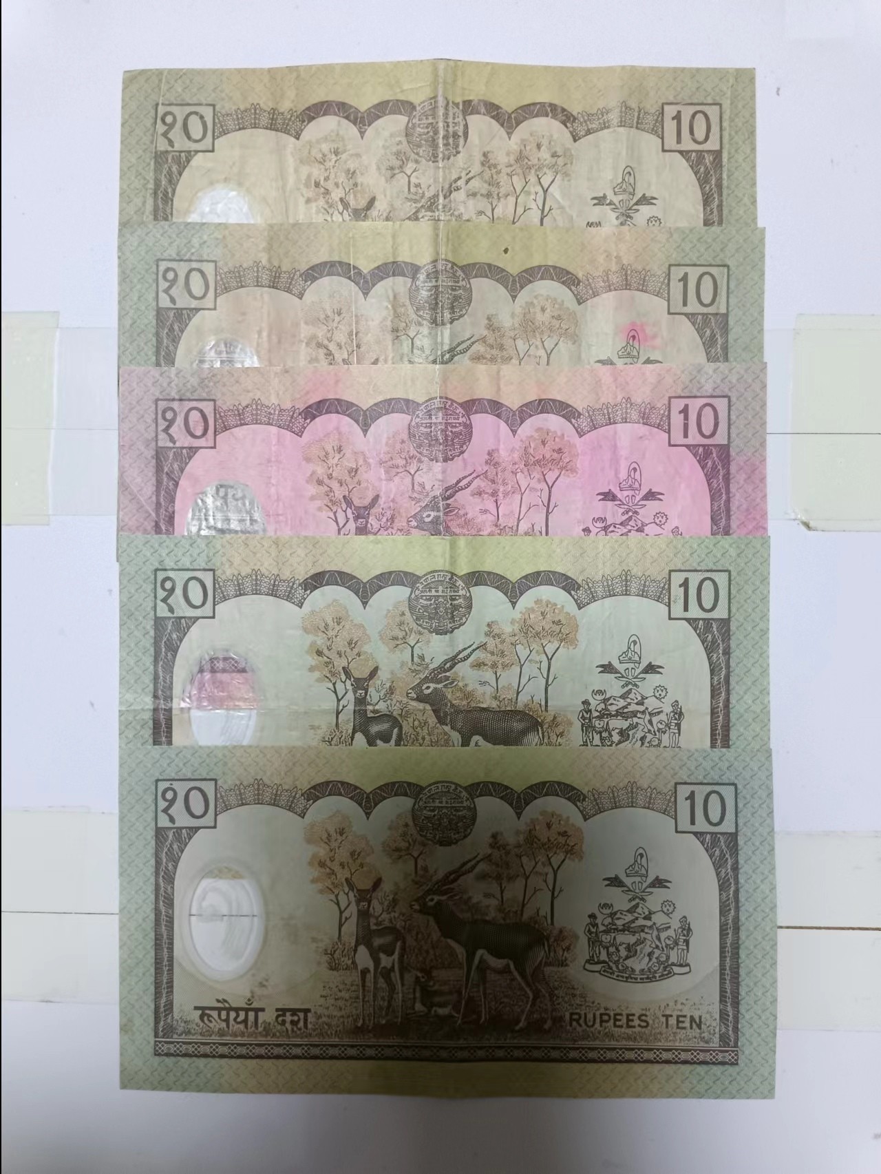 【20230423】非全新纸币第131场 尼泊尔10卢比5张纸币