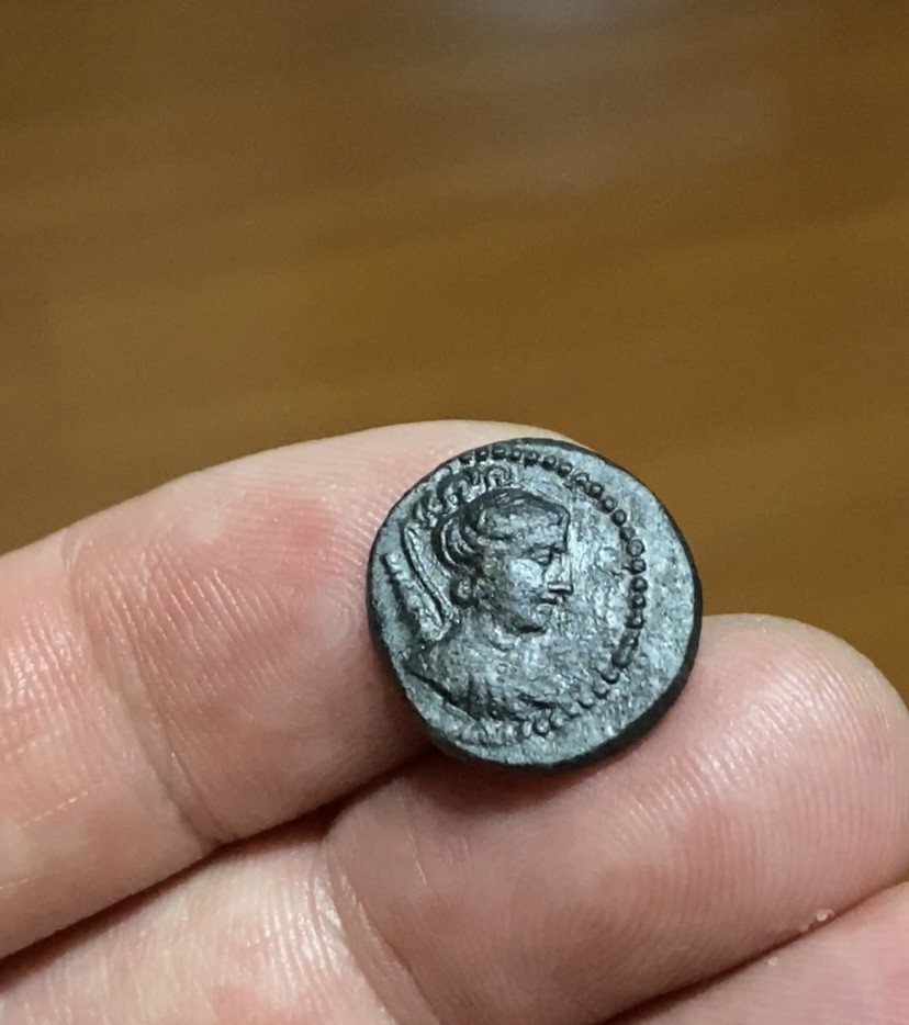 古希腊月亮女神阿尔忒弥斯和酒杯图铜币 公元前165-前90年发行。 正面：月亮女神阿尔忒弥斯头像， 背面：酒杯图与棕树  16毫米，3,80克  