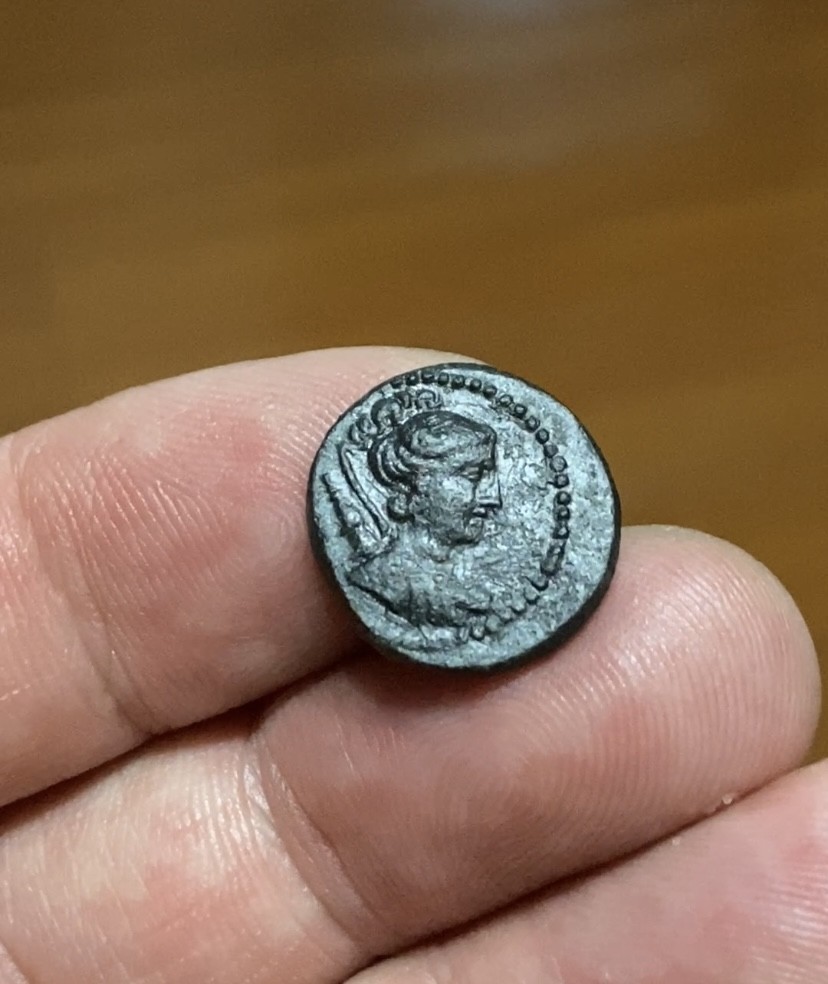 古希腊月亮女神阿尔忒弥斯和酒杯图铜币 公元前165-前90年发行。 正面：月亮女神阿尔忒弥斯头像， 背面：酒杯图与棕树  16毫米，3,80克  
