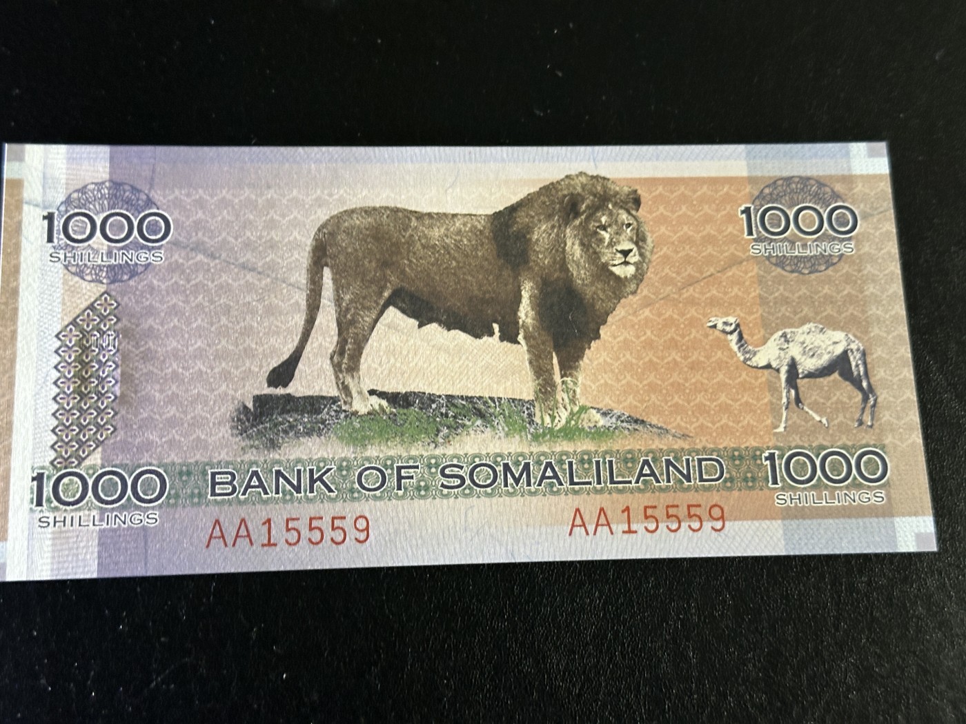 《外钞收藏家》第三百六十二期 2006年索马里兰1000 全新UNC 无47 AA冠