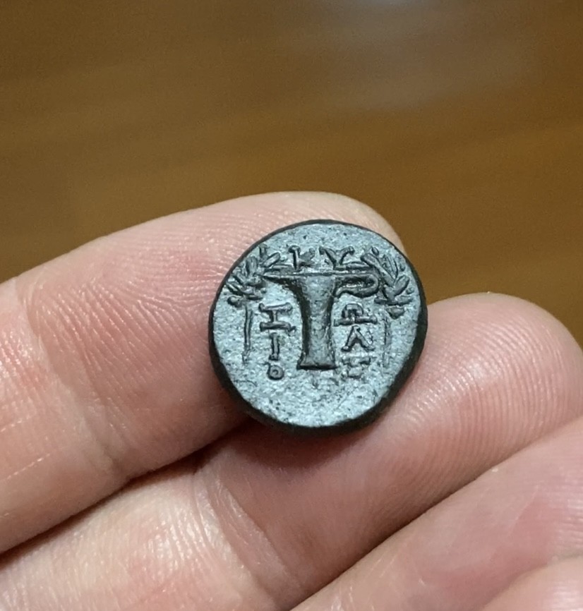 古希腊月亮女神阿尔忒弥斯和酒杯图铜币 公元前165-前90年发行。 正面：月亮女神阿尔忒弥斯头像， 背面：酒杯图与棕树  16毫米，3,80克  