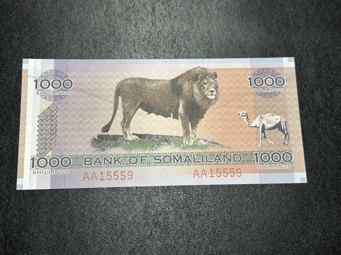 《外钞收藏家》第三百六十二期 2006年索马里兰1000 全新UNC 无47 AA冠