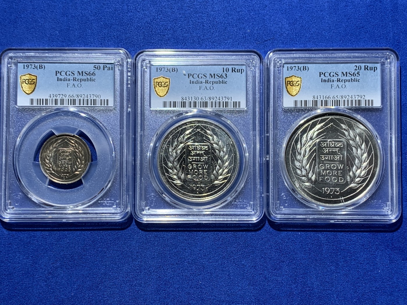 《竞宝斋》第260场-周日，周一，周二 3场连拍 (全场包邮) 3枚一组 PCGS MS63/65 印度1973年F.A.O.银币两枚+MS66镍币一枚