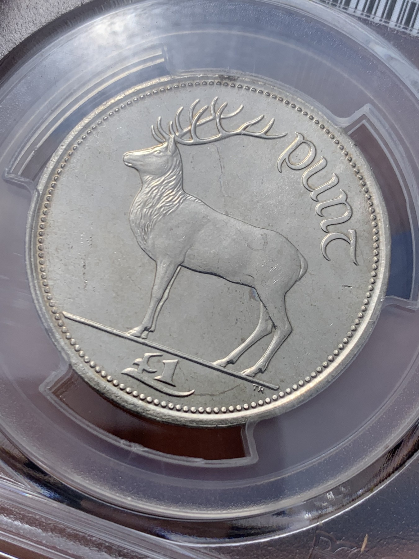 《竞宝斋》第260场-周日，周一，周二 3场连拍 (全场包邮) PCGS金盾 MS65 爱尔兰国宝麋鹿1999年1镑镍币