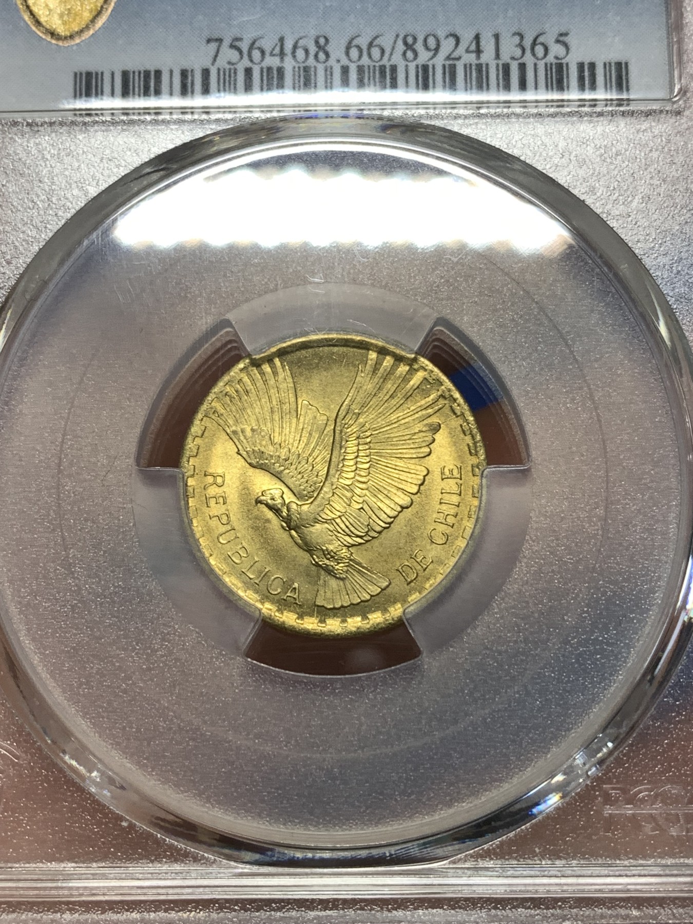 《竞宝斋》第260场-周日，周一，周二 3场连拍 (全场包邮)