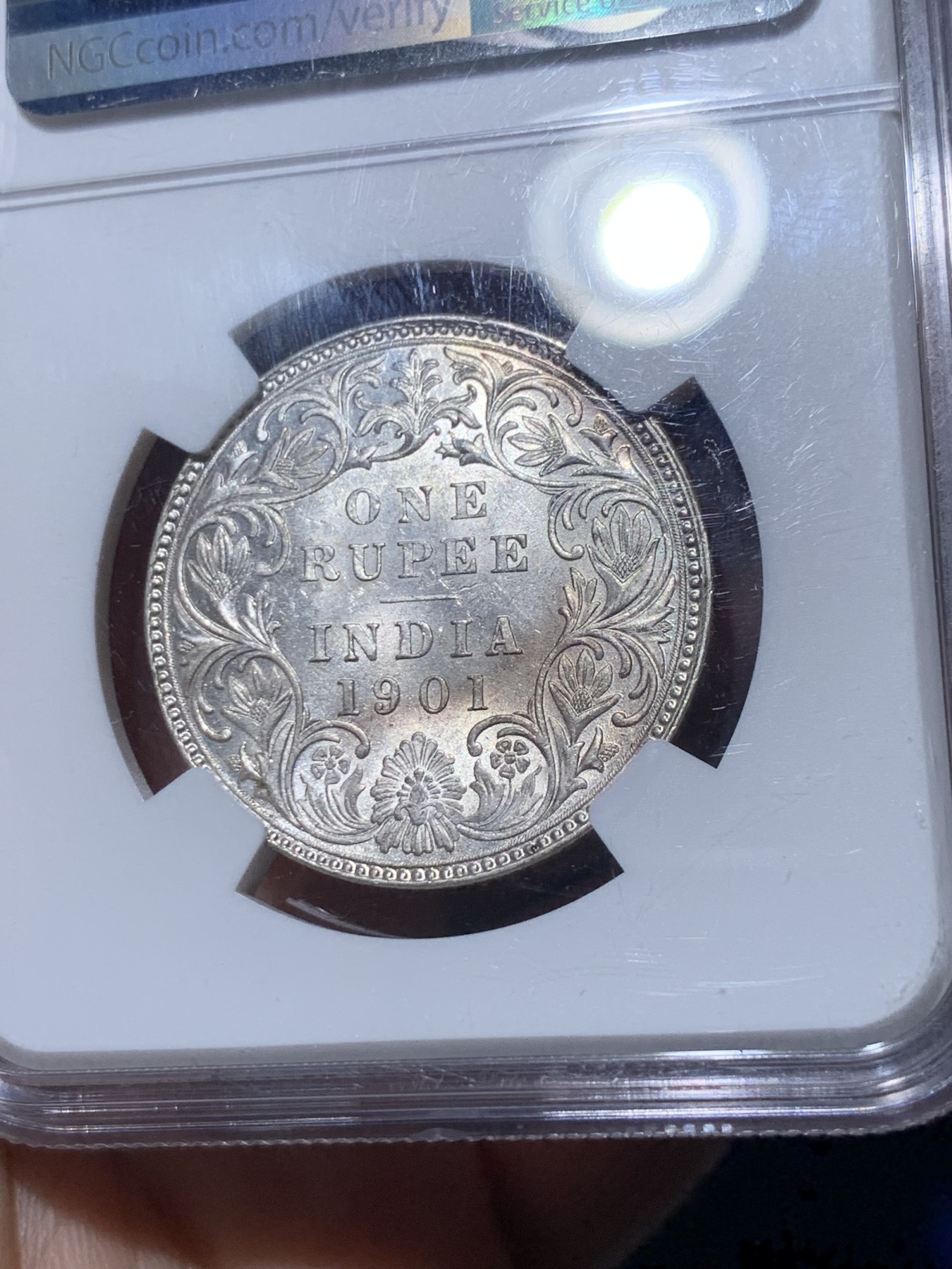 《竞宝斋》第260场-周日，周一，周二 3场连拍 (全场包邮) NGC MS61 英属印度1901B小维卢比银币