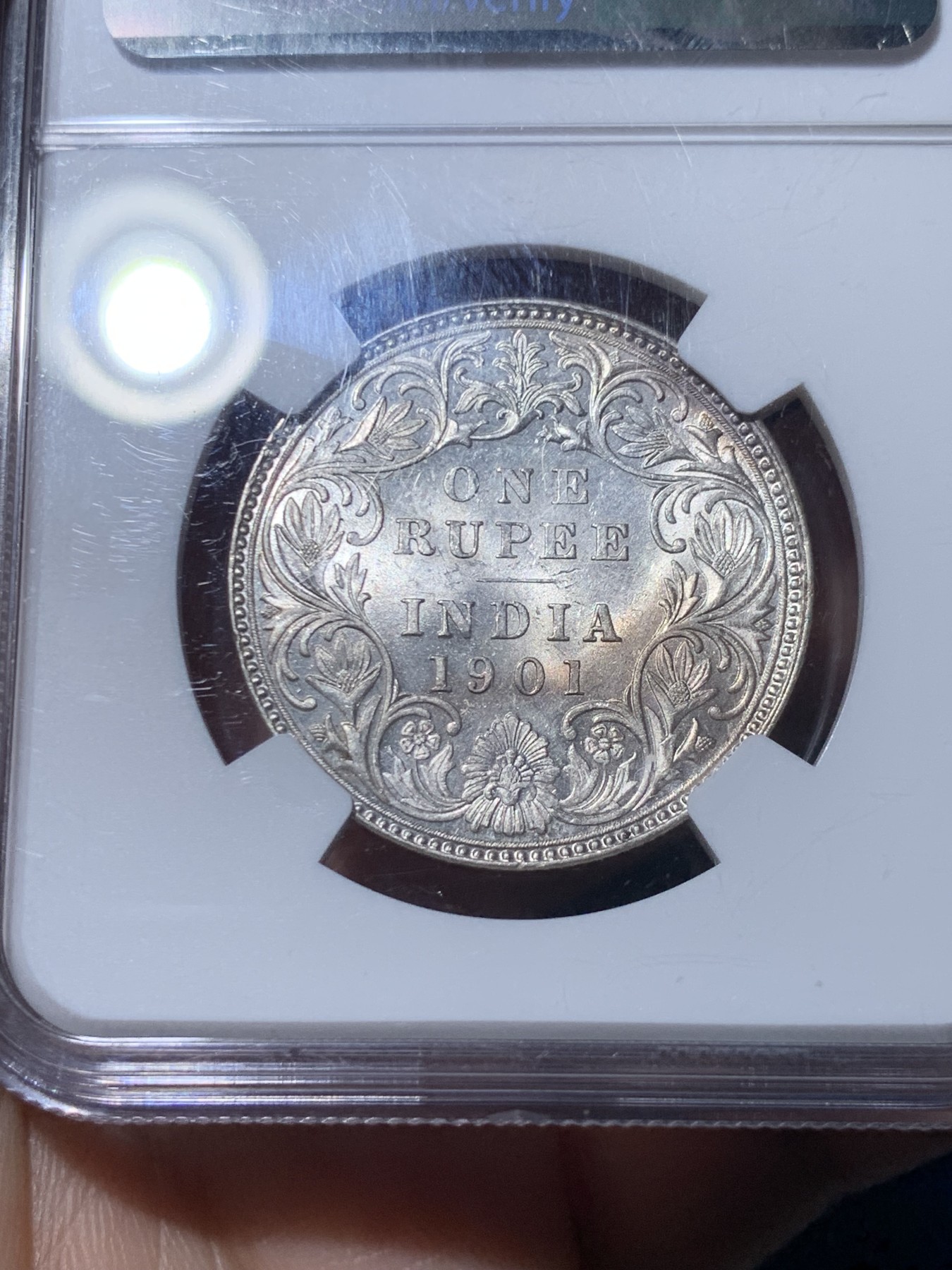 《竞宝斋》第260场-周日，周一，周二 3场连拍 (全场包邮) NGC MS61 英属印度1901B小维卢比银币