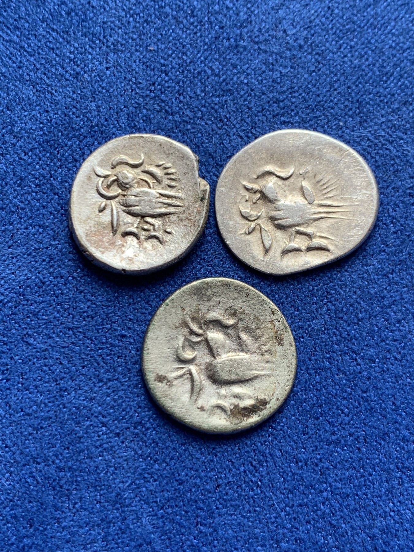 《竞宝斋》第260场-周日，周一，周二 3场连拍 (全场包邮) 3枚一组 柬埔寨金边王朝小鸟打制银币