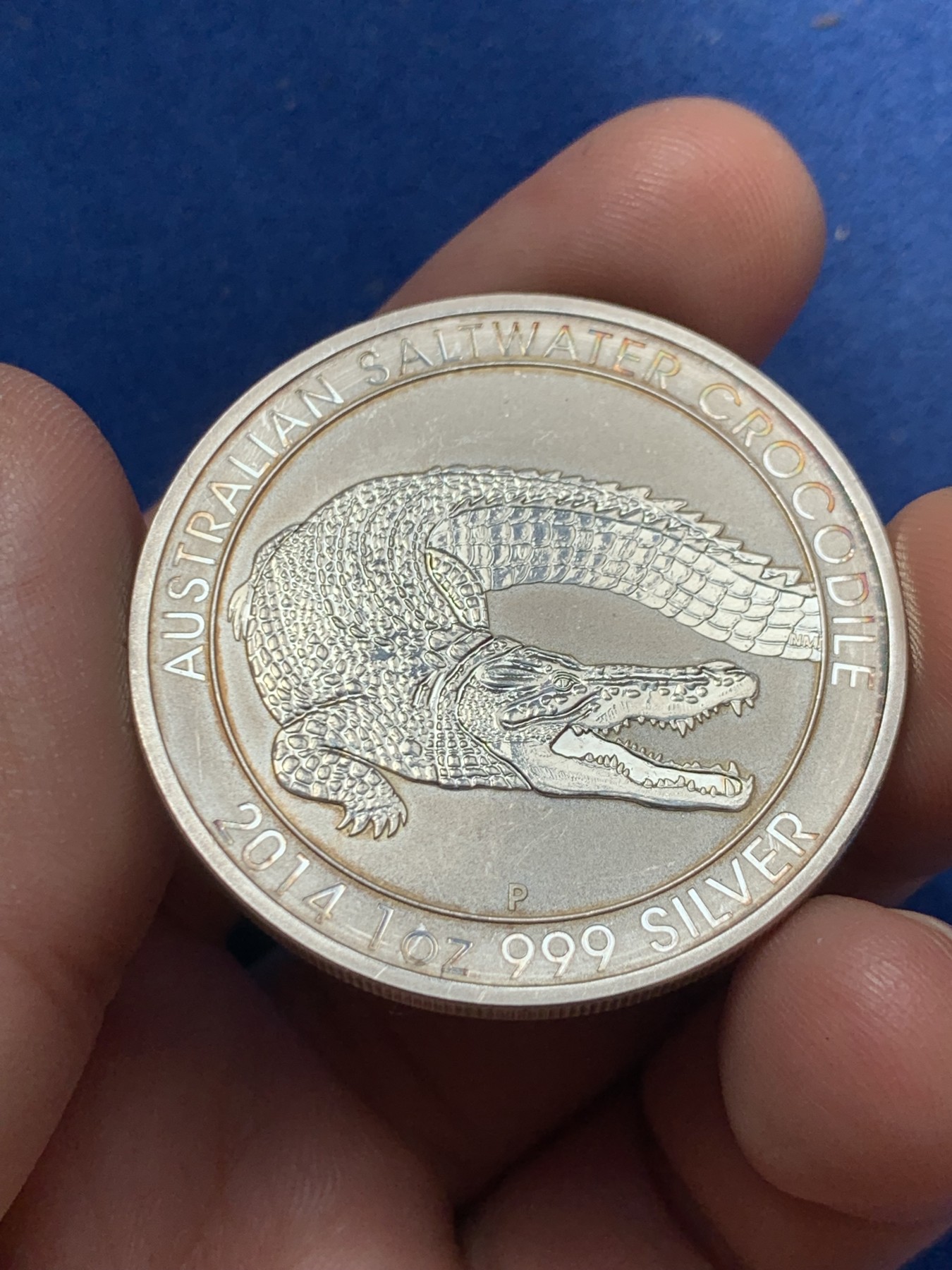 《竞宝斋》第260场-周日，周一，周二 3场连拍 (全场包邮) 2014年澳洲咸水鳄一盎司投资银币 999银