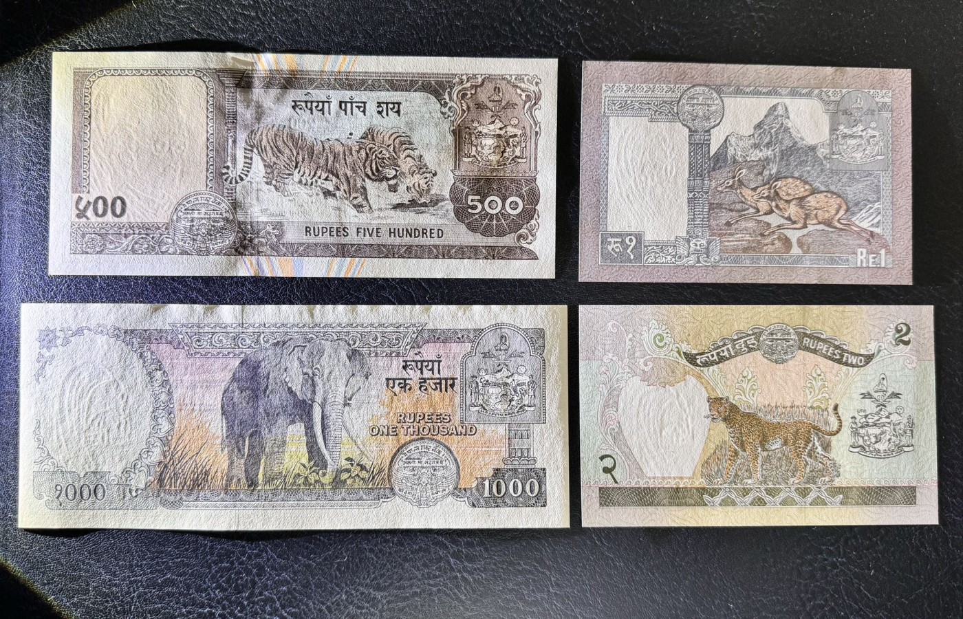 收藏联盟Quantum Auction 第340期拍卖  尼泊尔1981-2001年1到1000卢比 品相UNC 瑕疵细节如图 500有紫光斑