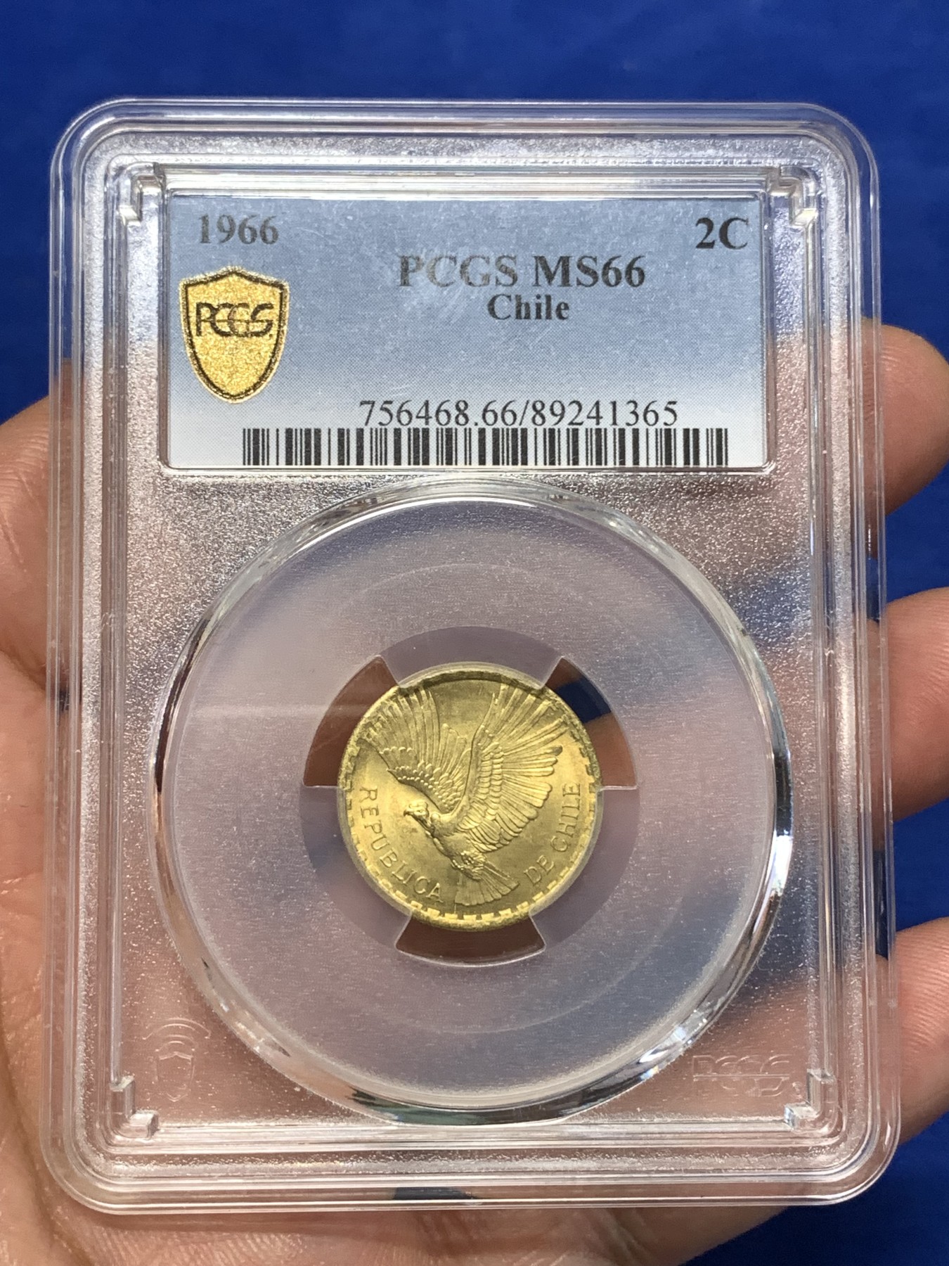 《竞宝斋》第260场-周日，周一，周二 3场连拍 (全场包邮)