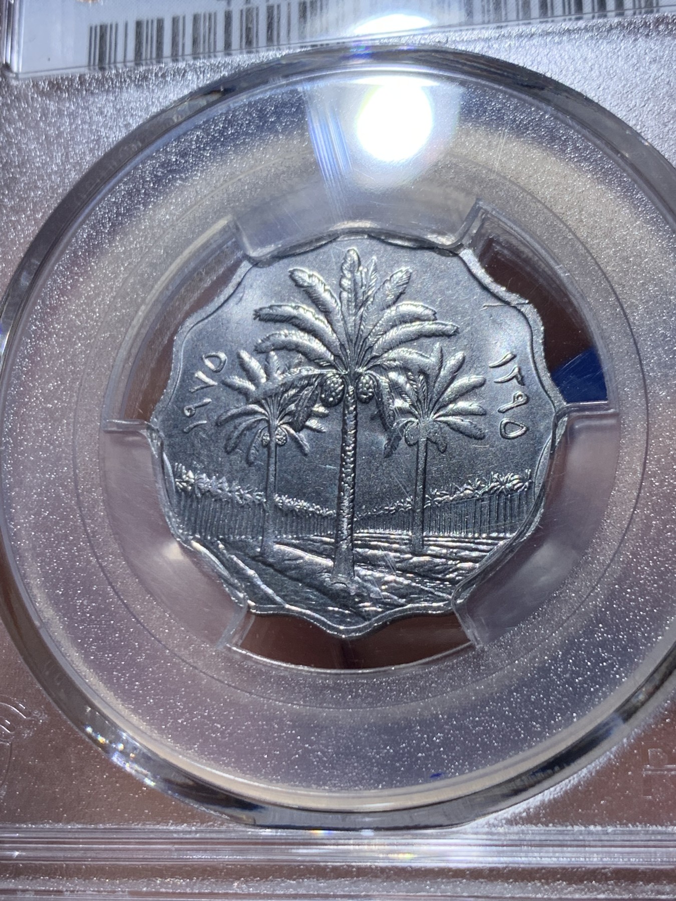 《竞宝斋》第260场-周日，周一，周二 3场连拍 (全场包邮) PCGS金盾 MS66 伊拉克1975年枣椰树10费尔不锈钢币，唯一亚军分，更高分仅一枚