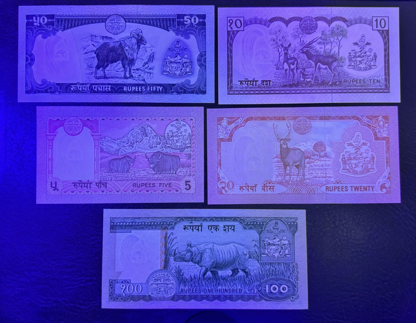 收藏联盟Quantum Auction 第340期拍卖  尼泊尔1981-2001年1到1000卢比 品相UNC 瑕疵细节如图 500有紫光斑