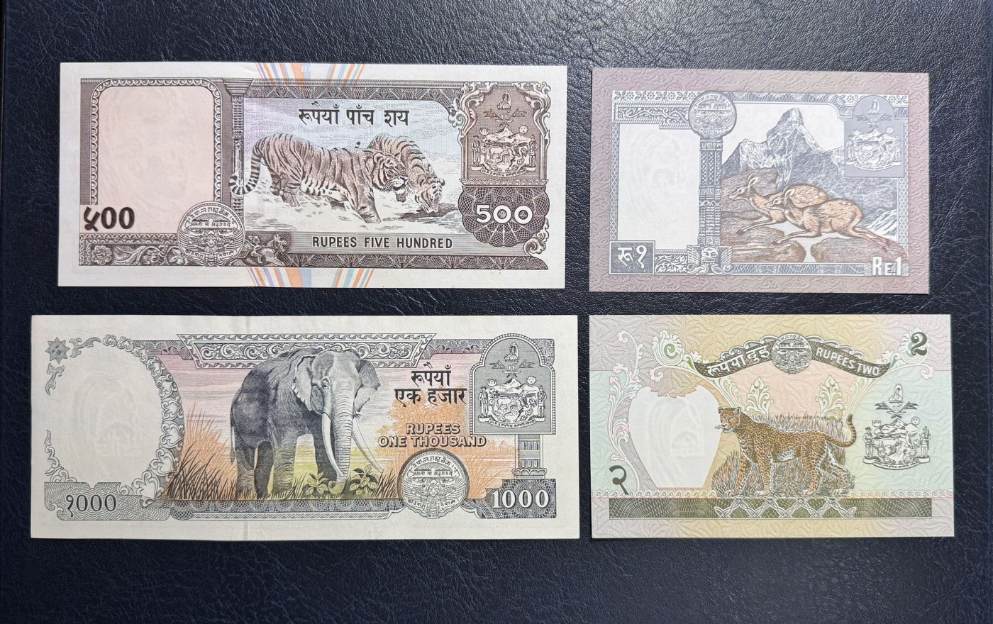 收藏联盟Quantum Auction 第340期拍卖  尼泊尔1981-2001年1到1000卢比 品相UNC 瑕疵细节如图 500有紫光斑