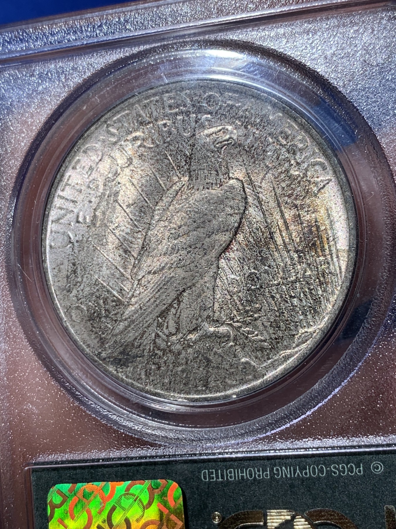 《竞宝斋》第260场-周日，周一，周二 3场连拍 (全场包邮) PCGS MS63 美国1923年和平银元P版经典老绿盒，背面原味老包浆，币面清爽干净又漂亮，经典老绿盒严评无官网图，距今有30年左右的历史，盒子本身就是收藏品。