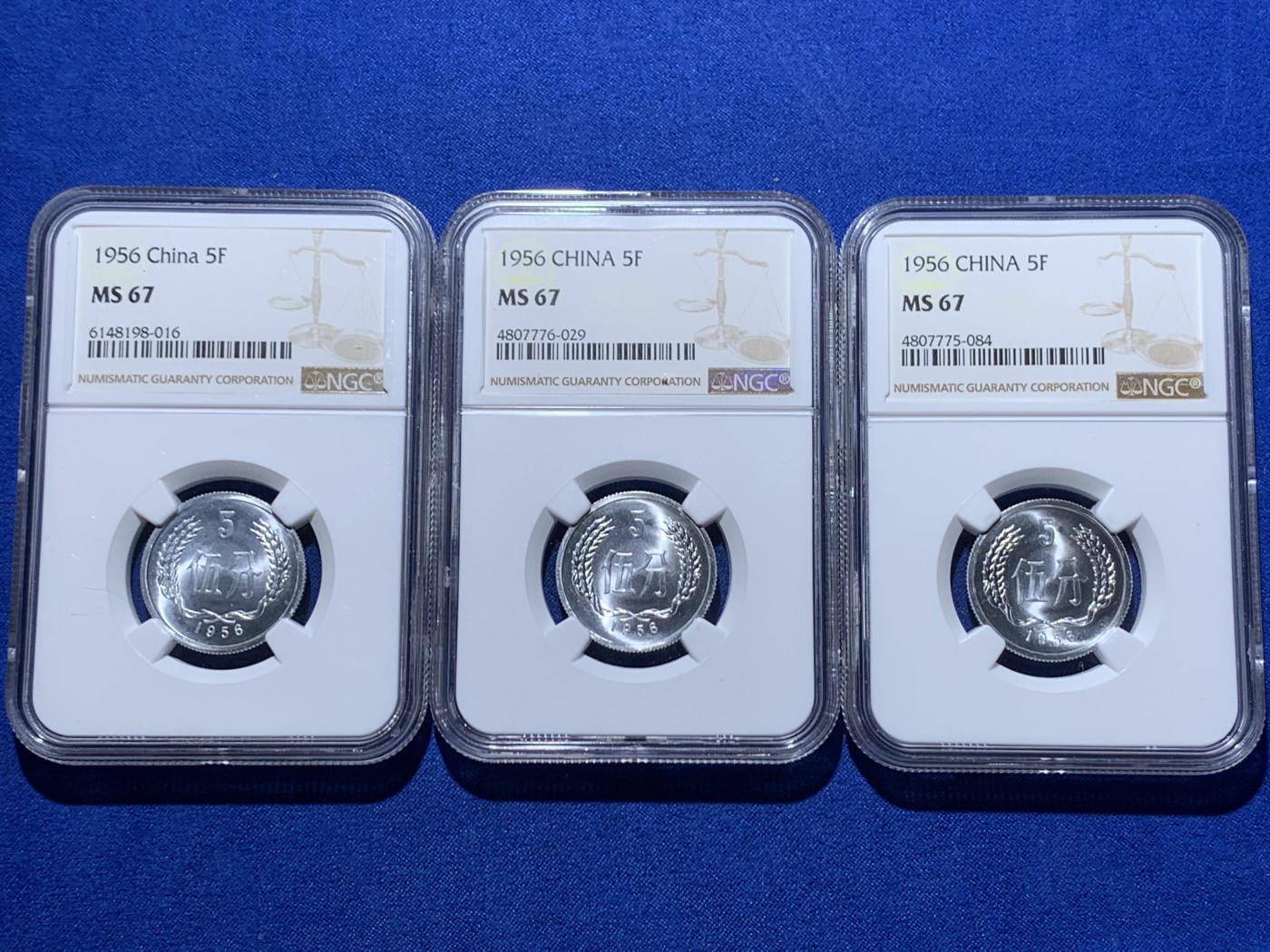 《竞宝斋》第260场-周日，周一，周二 3场连拍 (全场包邮) 3枚一组 NGC MS67 中国1956年伍分