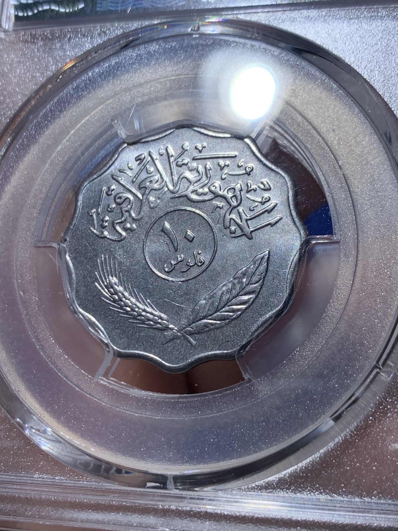 《竞宝斋》第260场-周日，周一，周二 3场连拍 (全场包邮) PCGS金盾 MS66 伊拉克1975年枣椰树10费尔不锈钢币，唯一亚军分，更高分仅一枚