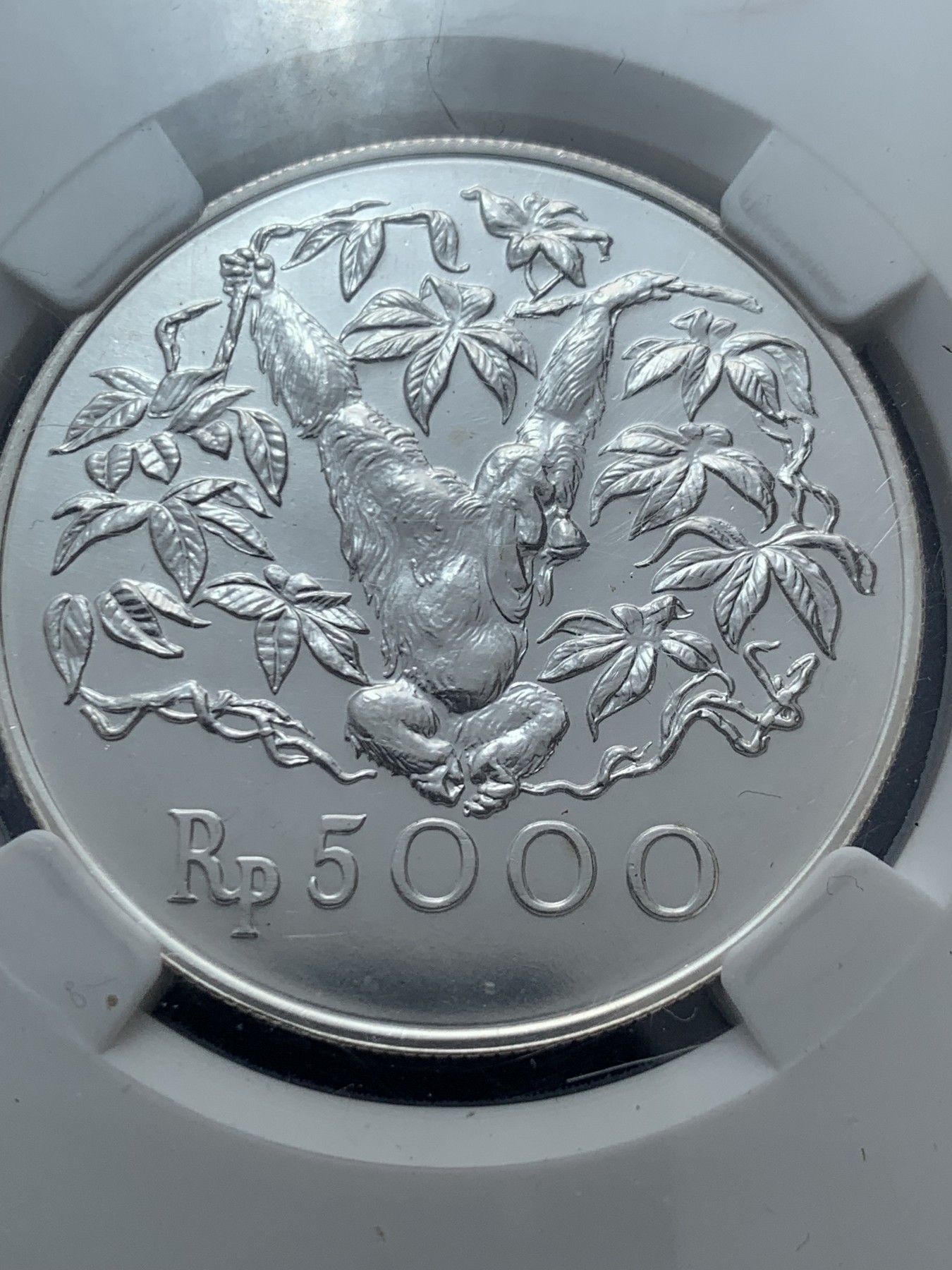 《竞宝斋》第260场-周日，周一，周二 3场连拍 (全场包邮) CSIS MS67 印度尼西亚1974红毛猩猩5000R大银币