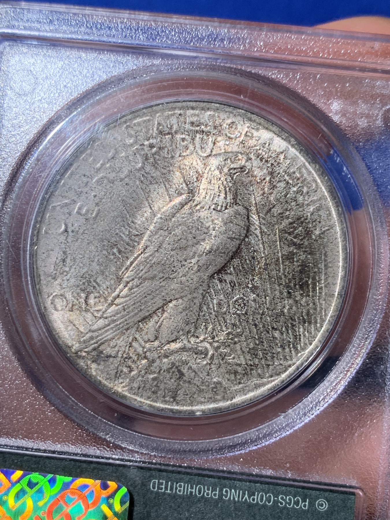 《竞宝斋》第260场-周日，周一，周二 3场连拍 (全场包邮) PCGS MS63 美国1923年和平银元P版经典老绿盒，背面原味老包浆，币面清爽干净又漂亮，经典老绿盒严评无官网图，距今有30年左右的历史，盒子本身就是收藏品。
