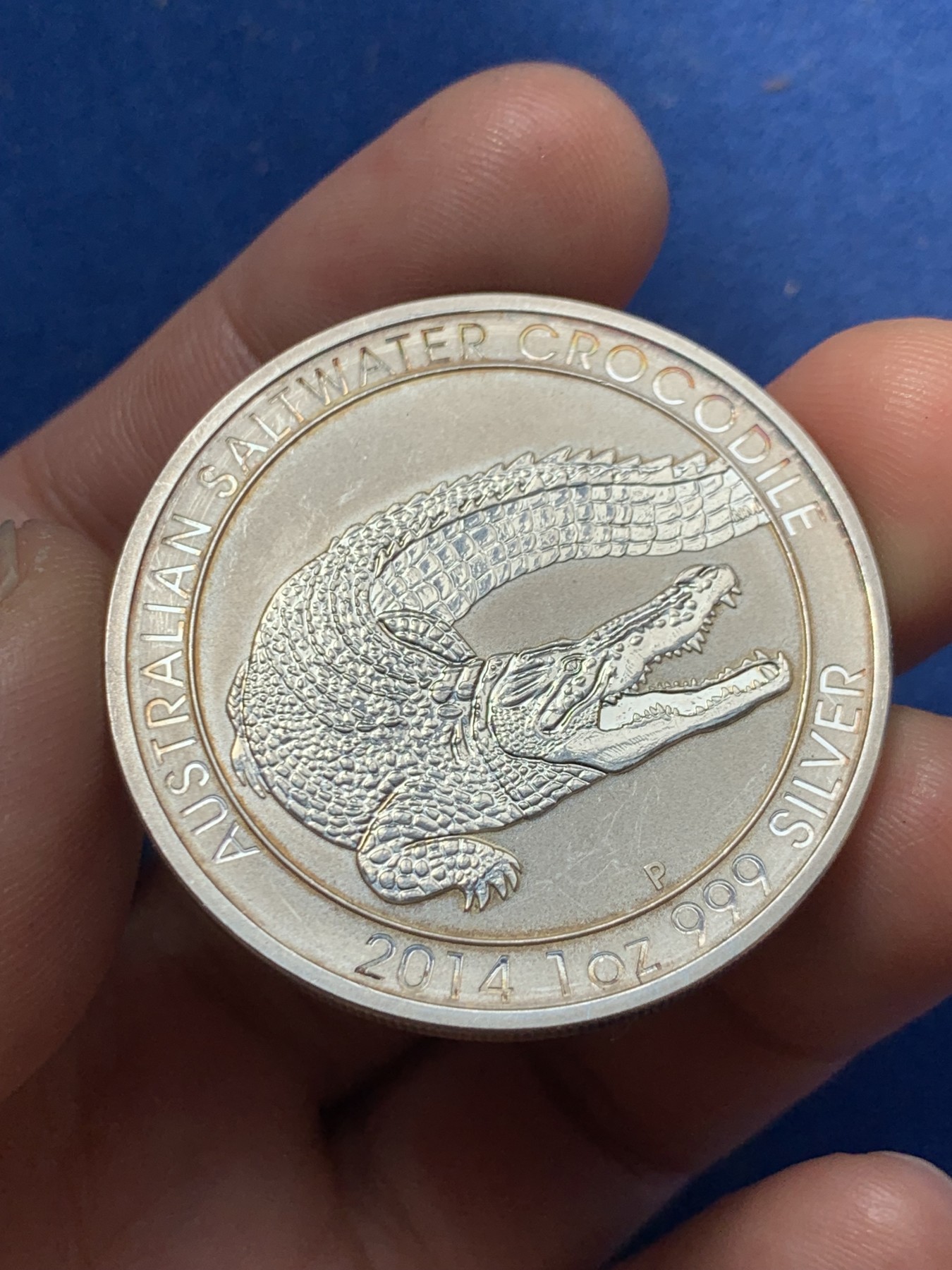 《竞宝斋》第260场-周日，周一，周二 3场连拍 (全场包邮) 2014年澳洲咸水鳄一盎司投资银币 999银