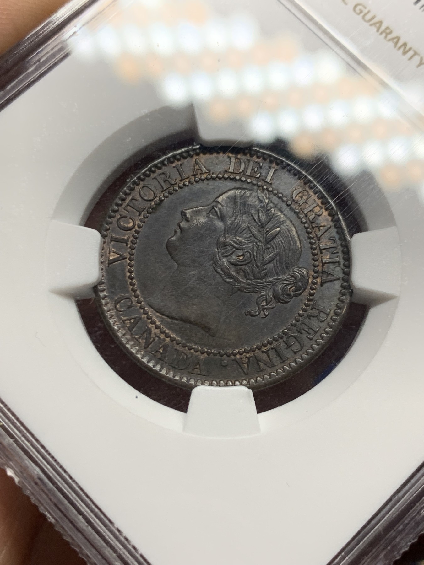 《竞宝斋》第261场-周日，周一，周二 3场连拍 (全场包邮) NGC MS62BN 1859年加拿大维多利亚女王1分铜币，加拿大早期钱币大多为特年特版，价极高。HA拍卖64分有840美刀的成交记录