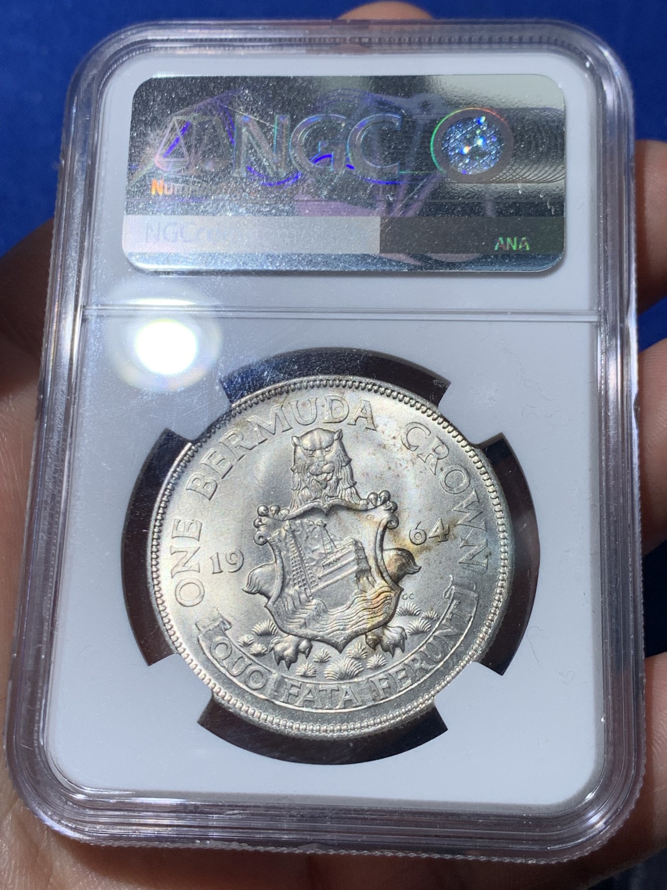 《竞宝斋》第261场-周日，周一，周二 3场连拍 (全场包邮) NGC MS64 英属百慕大1964年伊丽莎白二世青年头像1克朗银币 经典女王头像