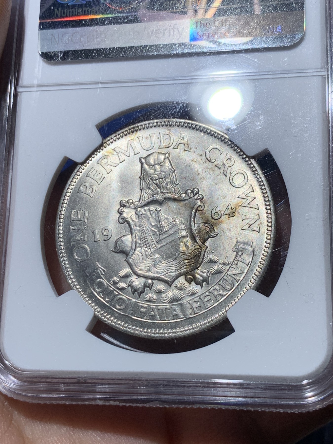 《竞宝斋》第261场-周日，周一，周二 3场连拍 (全场包邮) NGC MS64 英属百慕大1964年伊丽莎白二世青年头像1克朗银币 经典女王头像