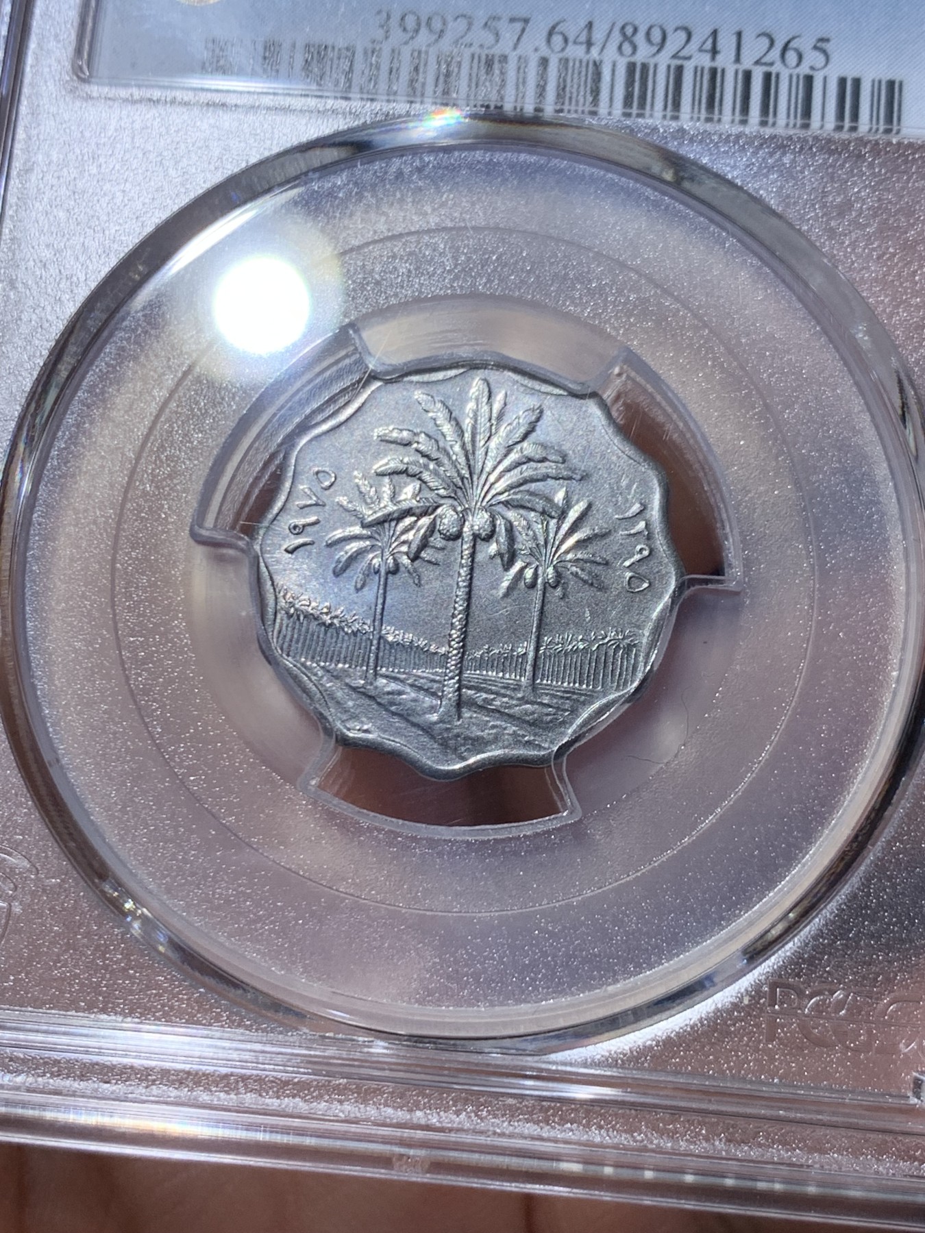 《竞宝斋》第261场-周日，周一，周二 3场连拍 (全场包邮) PCGS金盾 MS64 伊拉克1975年枣椰树5费尔不锈钢币