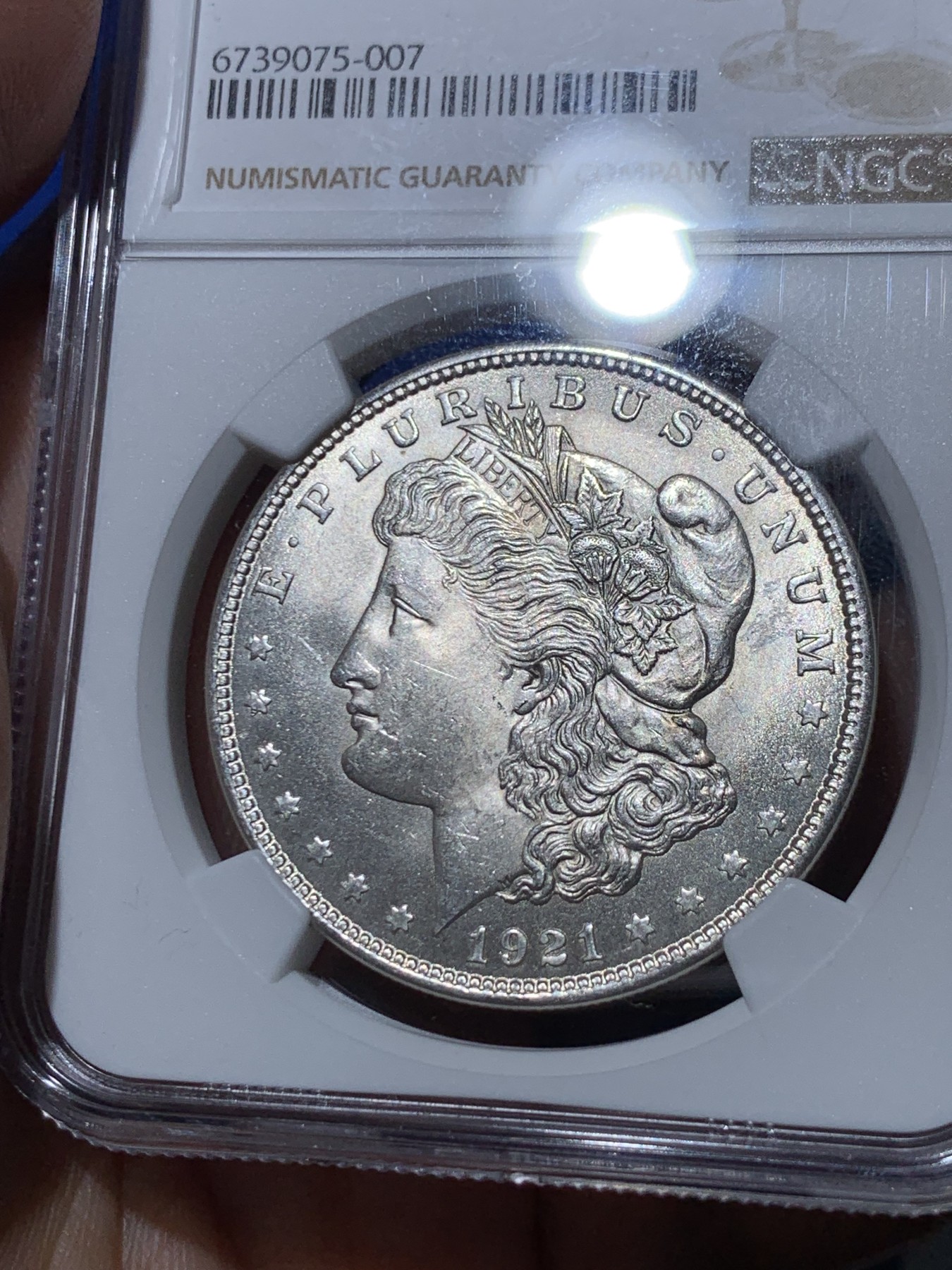 《竞宝斋》第261场-周日，周一，周二 3场连拍 (全场包邮) NGC MS63 美国1921年摩根银币