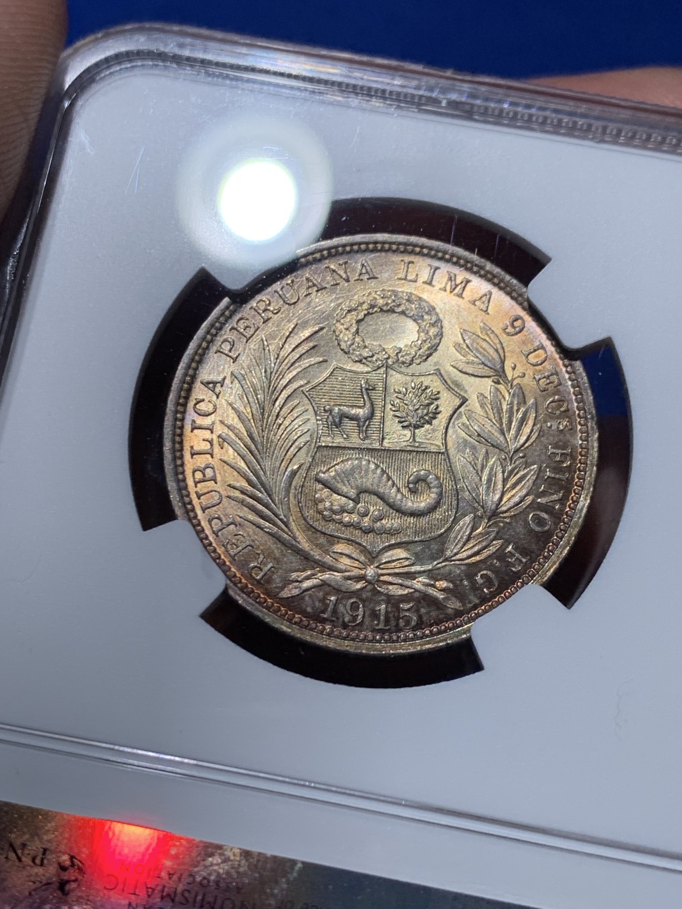 《竞宝斋》第261场-周日，周一，周二 3场连拍 (全场包邮)