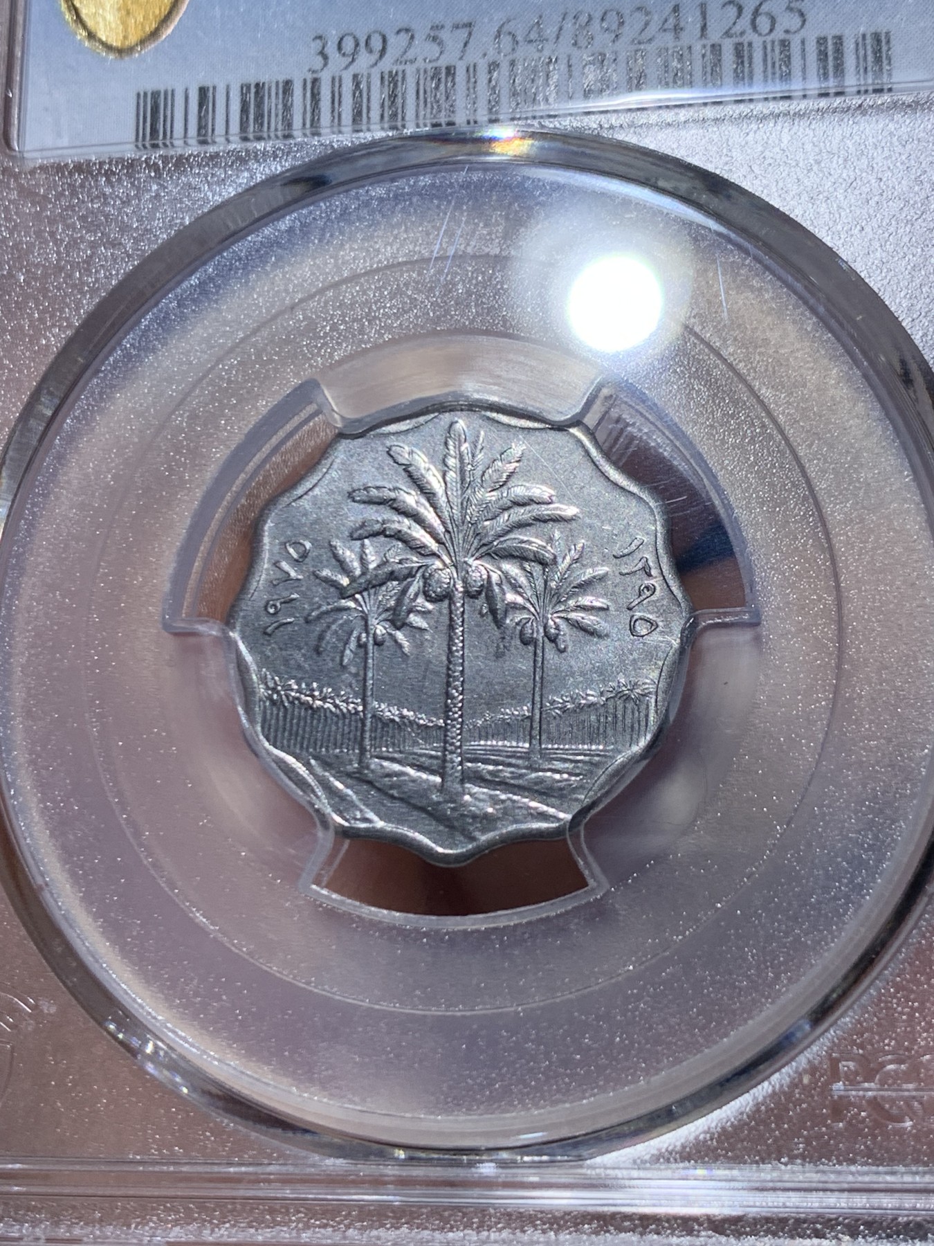 《竞宝斋》第261场-周日，周一，周二 3场连拍 (全场包邮) PCGS金盾 MS64 伊拉克1975年枣椰树5费尔不锈钢币