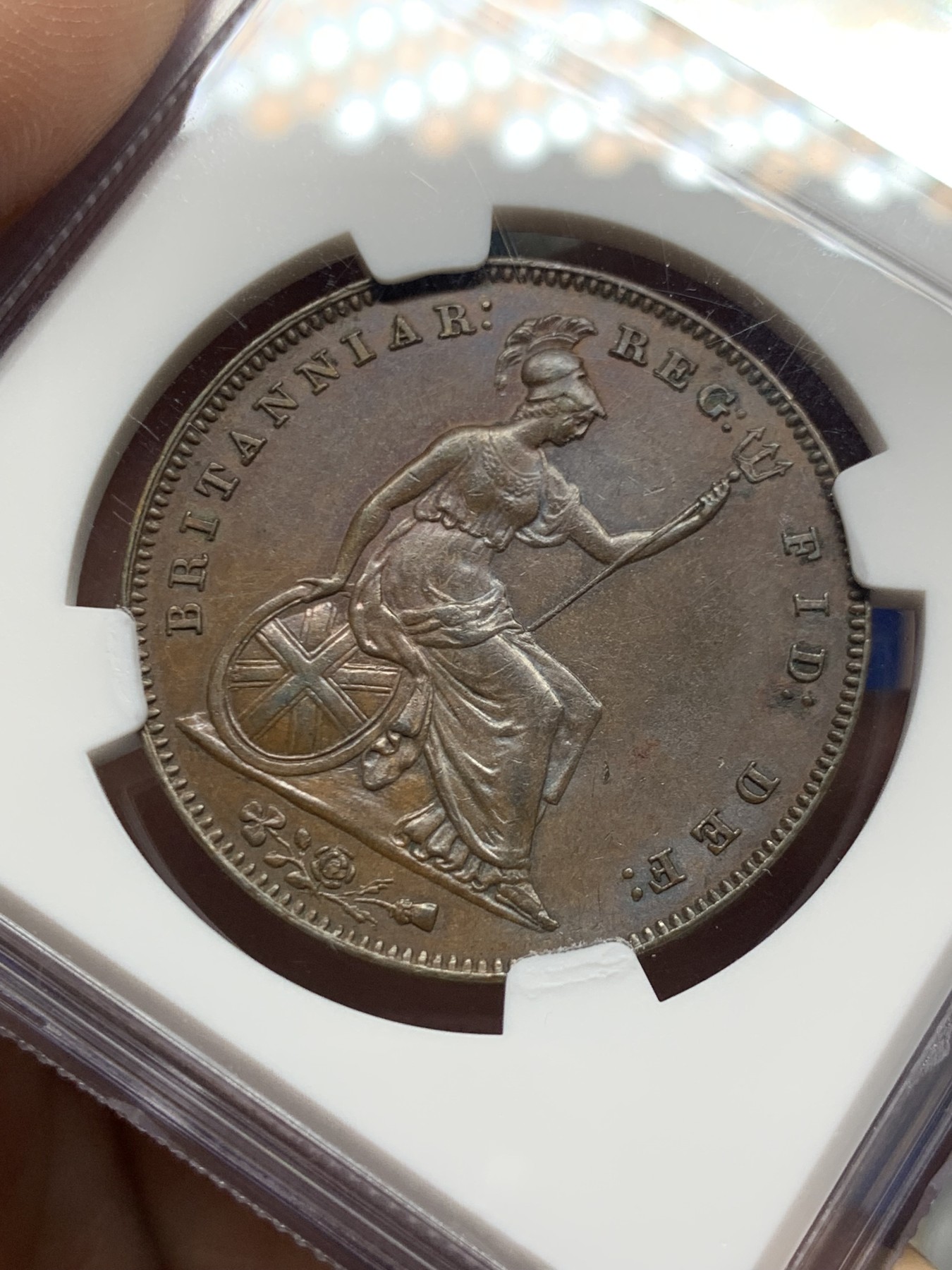 《竞宝斋》第261场-周日，周一，周二 3场连拍 (全场包邮) NGC MS62BN 英国1855年维多利亚1便士铜币（经典的青年维多利亚头像，小维爱好者的必备藏品）