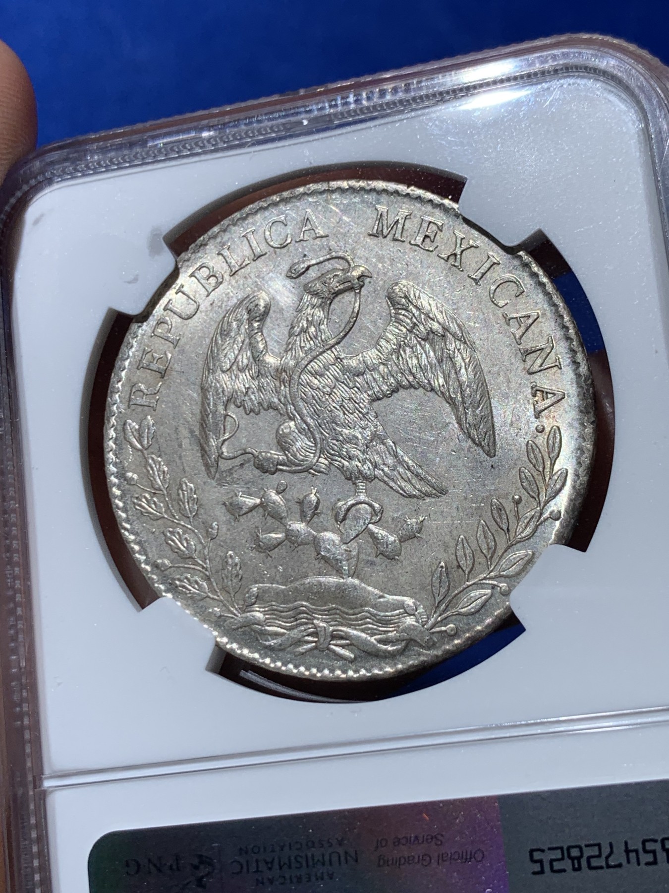 《竞宝斋》第261场-周日，周一，周二 3场连拍 (全场包邮) NGC MS61 墨西哥1894年AS厂花边鹰洋 8R银币 阿拉莫斯厂在鹰洋里属于少见的厂名 这个厂在NGC官网的数据中有分的不多 双面转光深打 稀少厂别性价比高