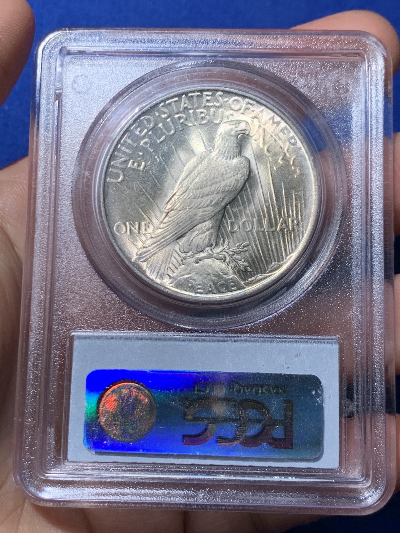 《竞宝斋》第261场-周日，周一，周二 3场连拍 (全场包邮) PCGS MS64 美国1923年和平银元P版