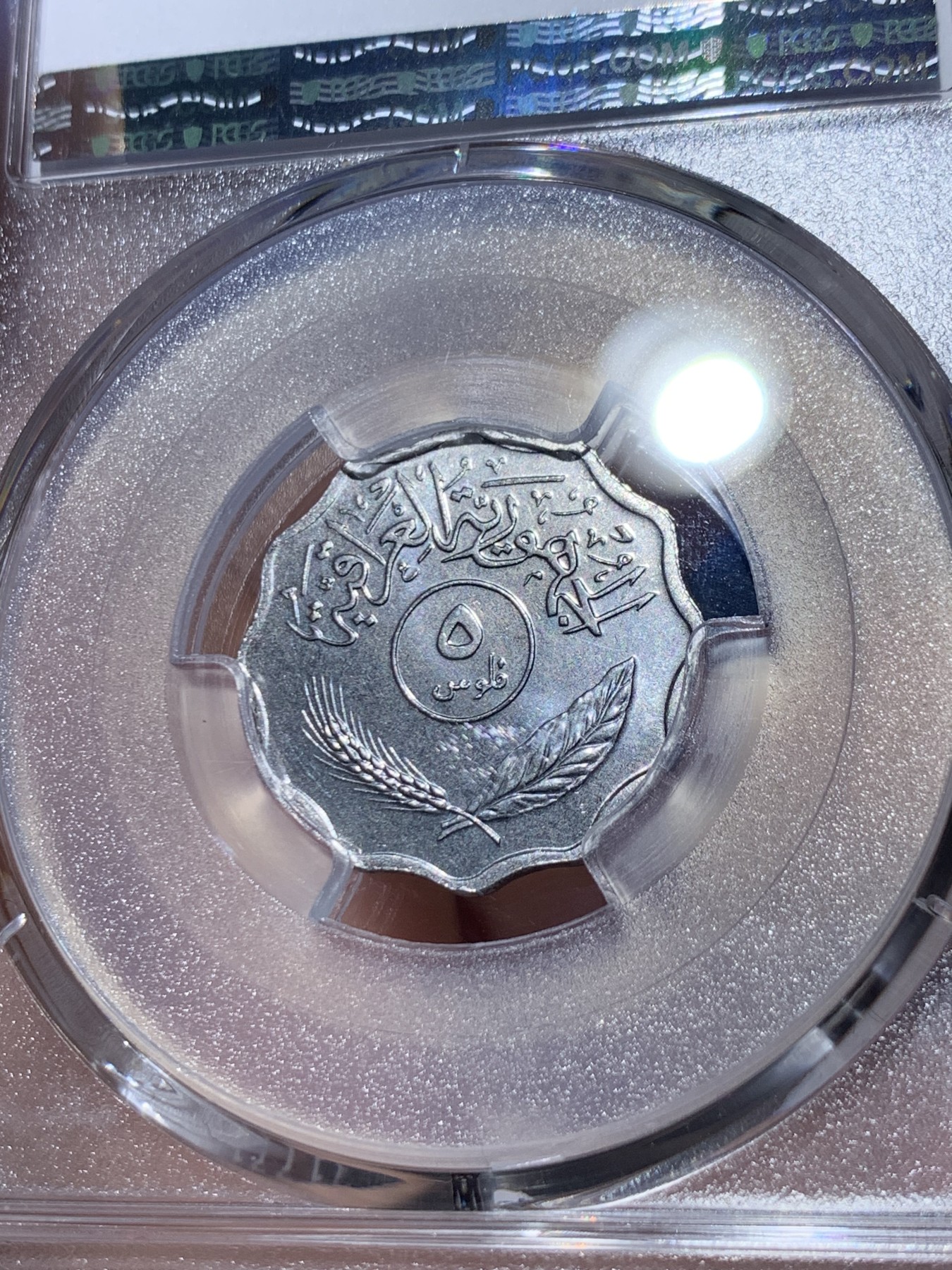 《竞宝斋》第261场-周日，周一，周二 3场连拍 (全场包邮) PCGS金盾 MS64 伊拉克1975年枣椰树5费尔不锈钢币