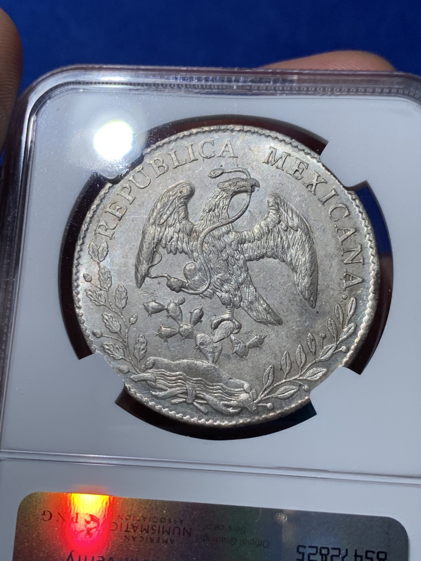 《竞宝斋》第261场-周日，周一，周二 3场连拍 (全场包邮) NGC MS61 墨西哥1894年AS厂花边鹰洋 8R银币 阿拉莫斯厂在鹰洋里属于少见的厂名 这个厂在NGC官网的数据中有分的不多 双面转光深打 稀少厂别性价比高