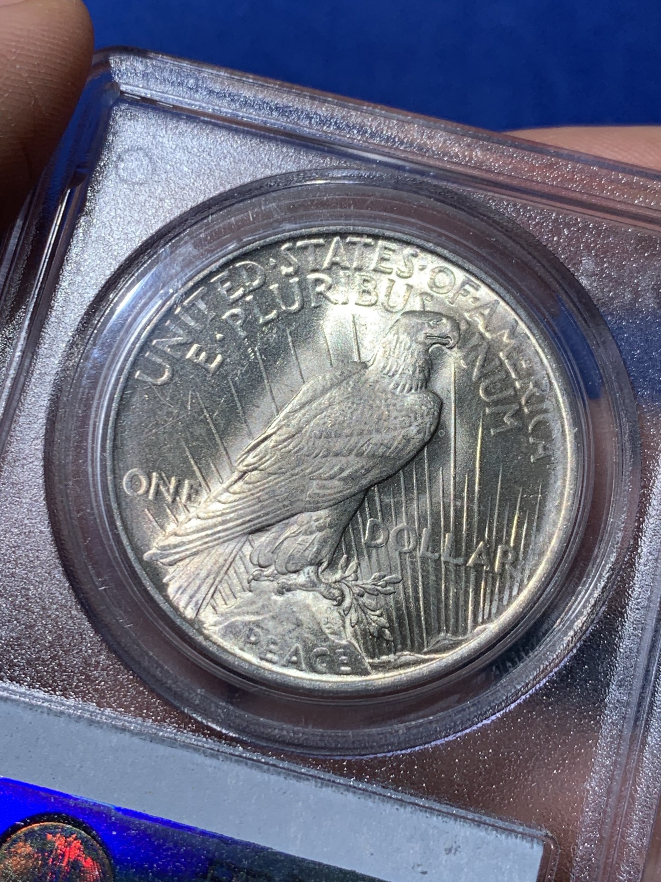 《竞宝斋》第261场-周日，周一，周二 3场连拍 (全场包邮) PCGS MS64 美国1923年和平银元P版