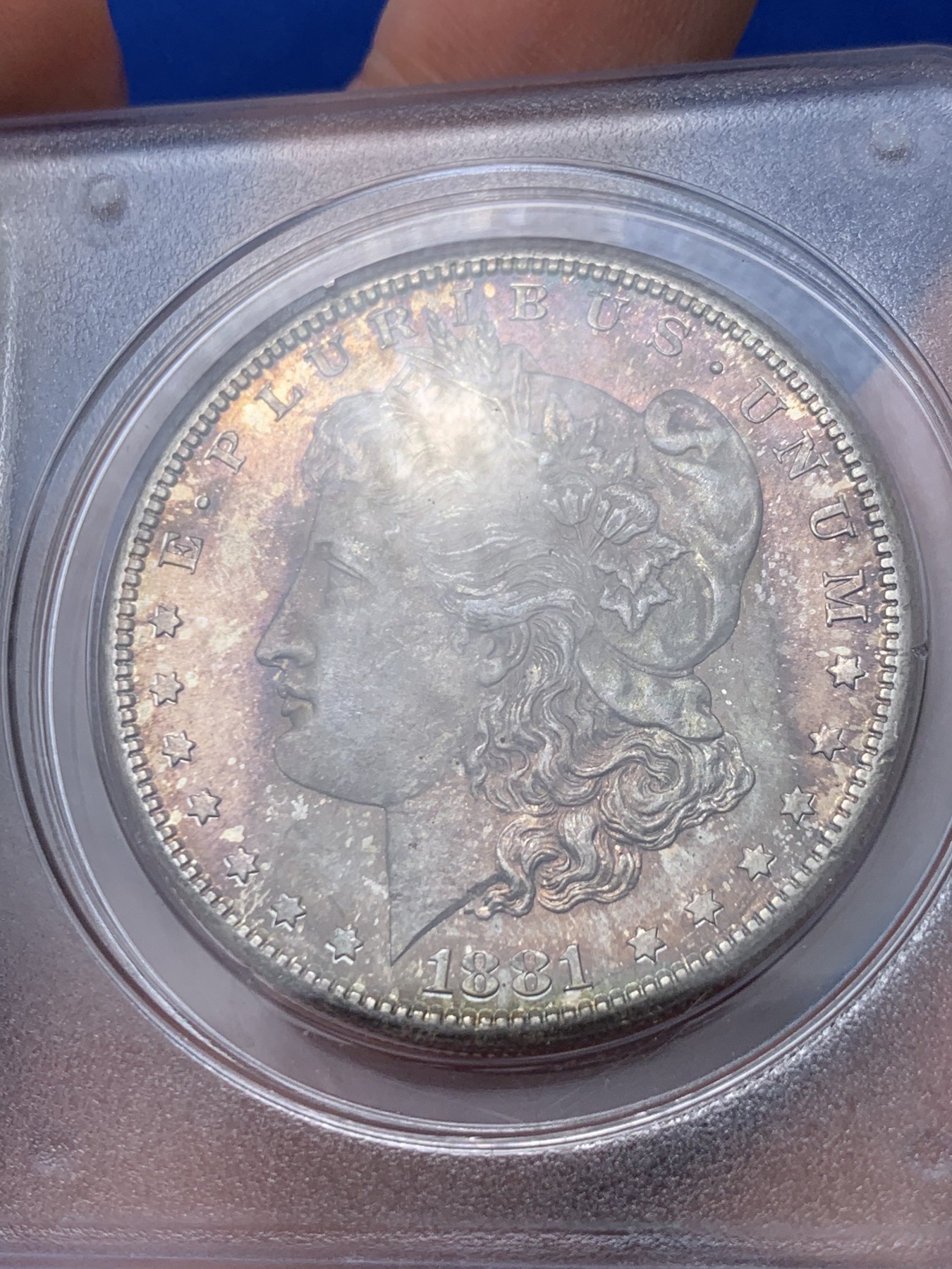 《竞宝斋》第261场-周日，周一，周二 3场连拍 (全场包邮) PCGS MS64 美国 1881年 摩根一美元 rattler 一代盒 正面红紫色包浆 低评状态 背面盒子有小划