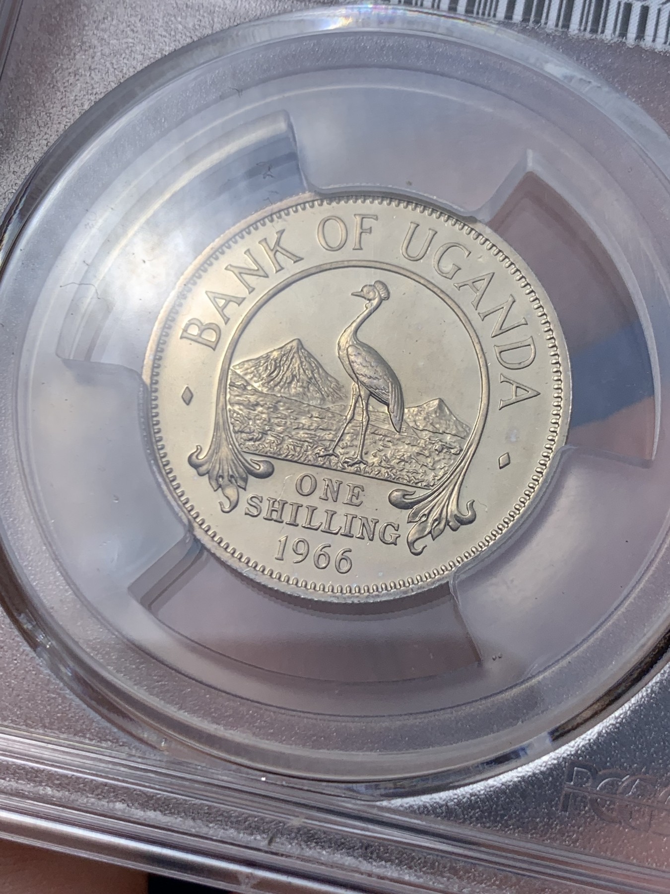 《竞宝斋》第261场-周日，周一，周二 3场连拍 (全场包邮) PCGS金盾 PR67DCAM 乌干达国鸟灰冕鹤与东非大草原1966年1先令精制镍币