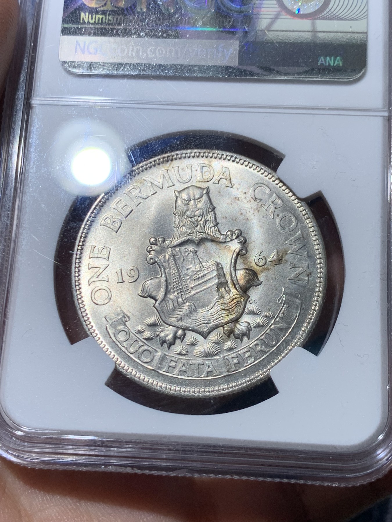 《竞宝斋》第261场-周日，周一，周二 3场连拍 (全场包邮) NGC MS64 英属百慕大1964年伊丽莎白二世青年头像1克朗银币 经典女王头像