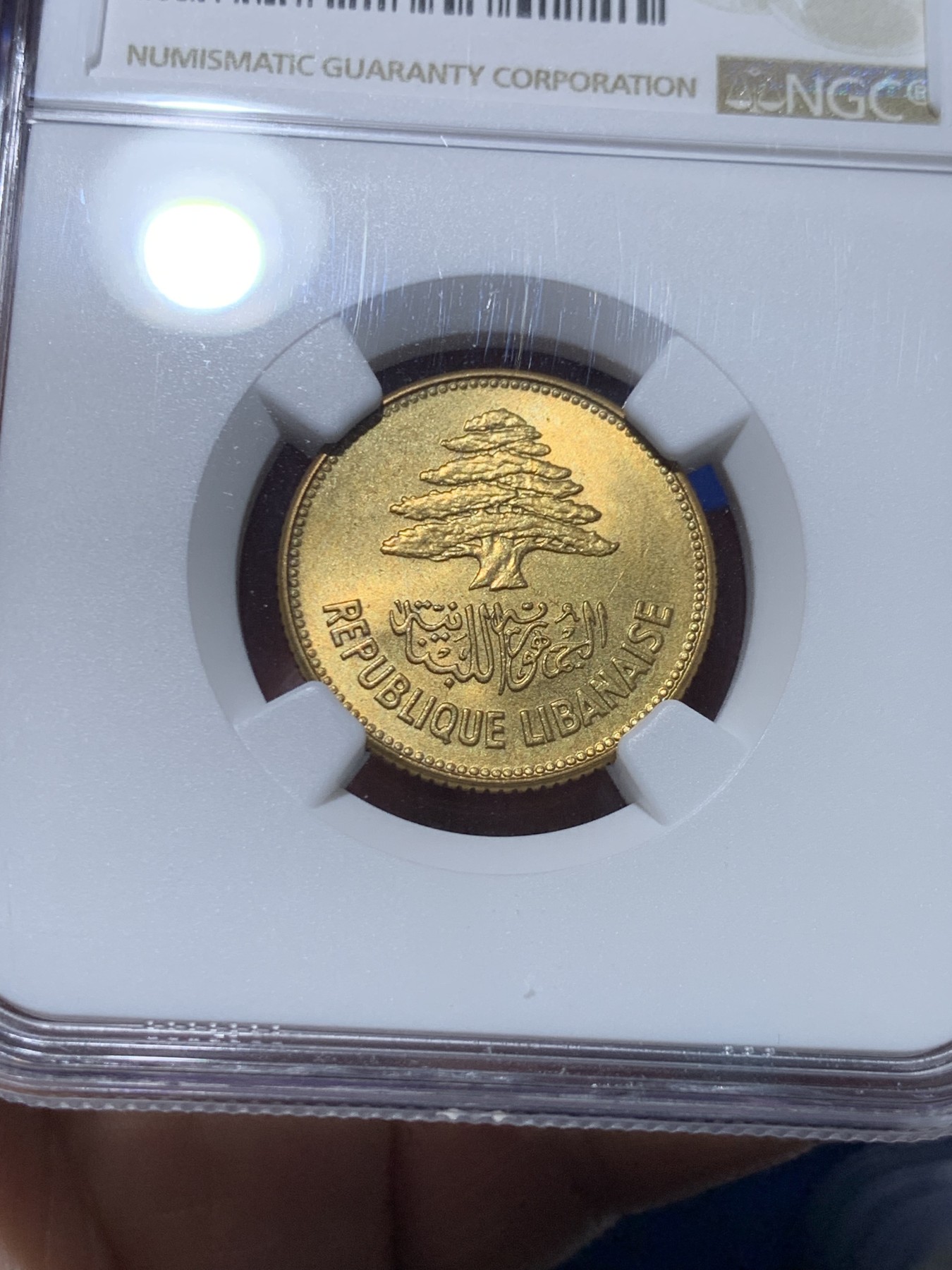 《竞宝斋》第261场-周日，周一，周二 3场连拍 (全场包邮) NGC MS66 黎巴嫩 1952年 25皮阿斯特