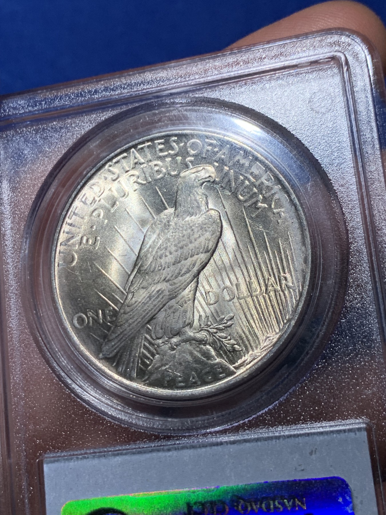 《竞宝斋》第261场-周日，周一，周二 3场连拍 (全场包邮) PCGS MS64 美国1923年和平银元P版