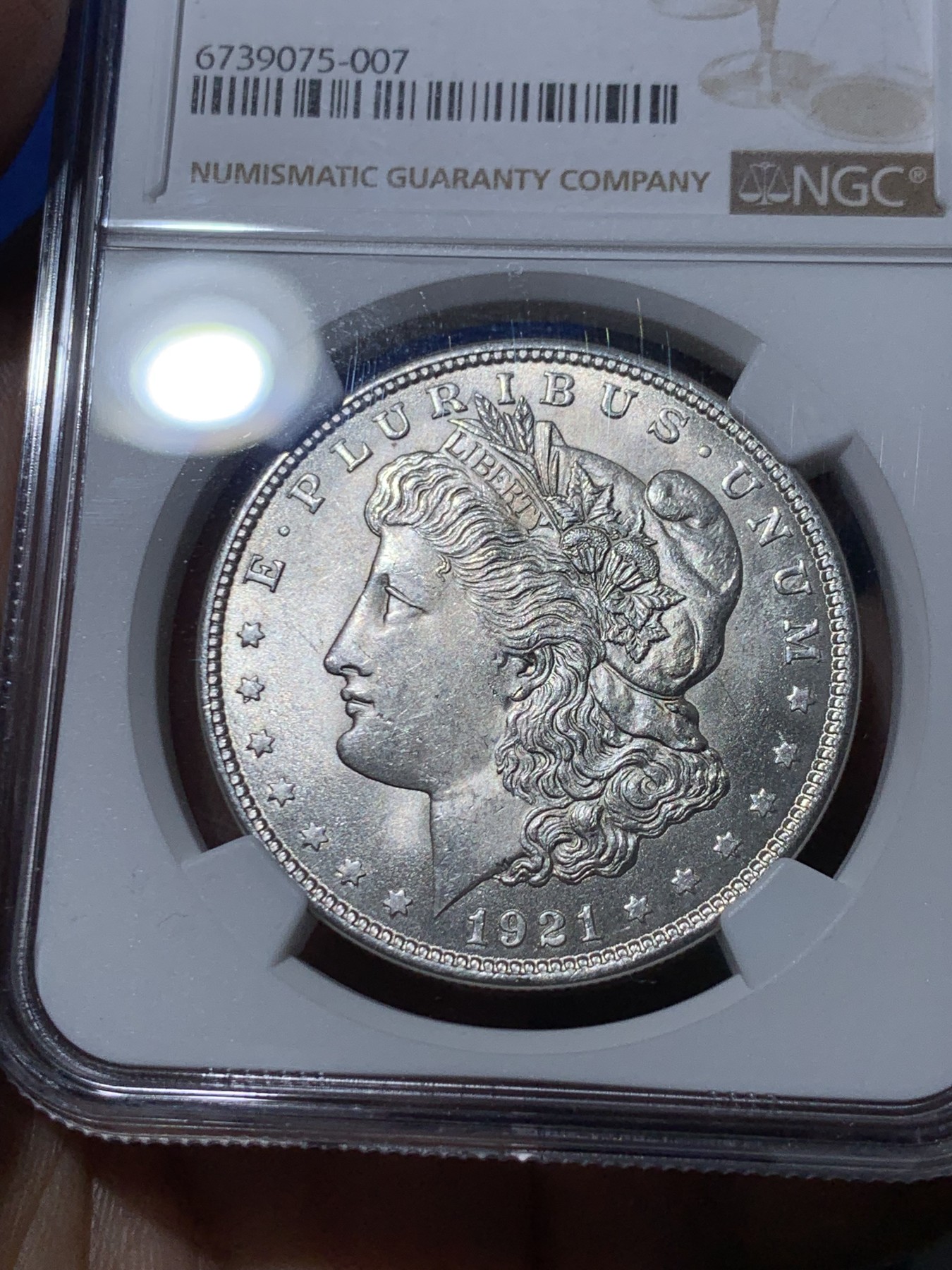 《竞宝斋》第261场-周日，周一，周二 3场连拍 (全场包邮) NGC MS63 美国1921年摩根银币