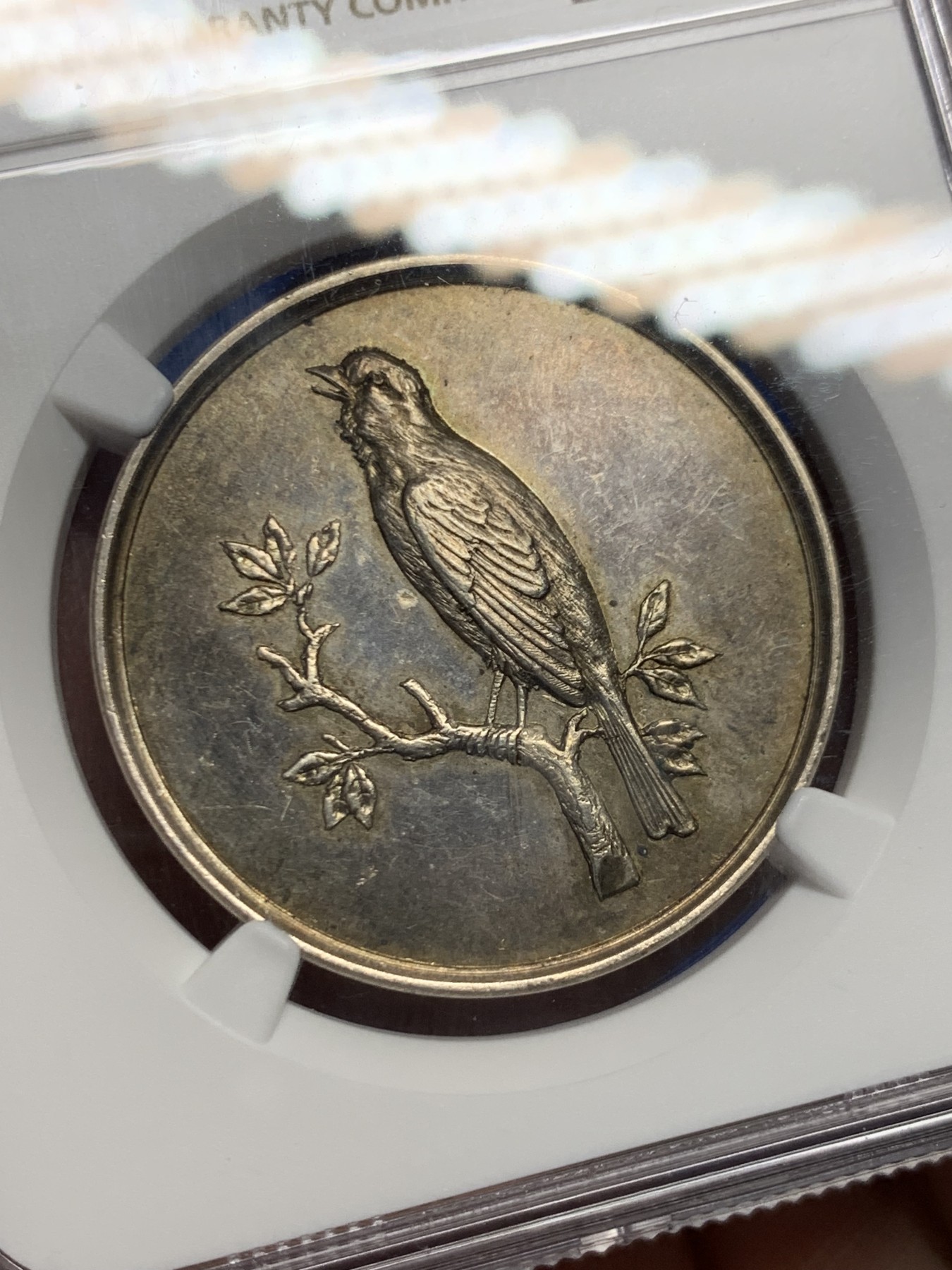 《竞宝斋》第262场-周日，周一，周二 3场连拍 (全场包邮) NGC-MS62 德国鸟类协会银章