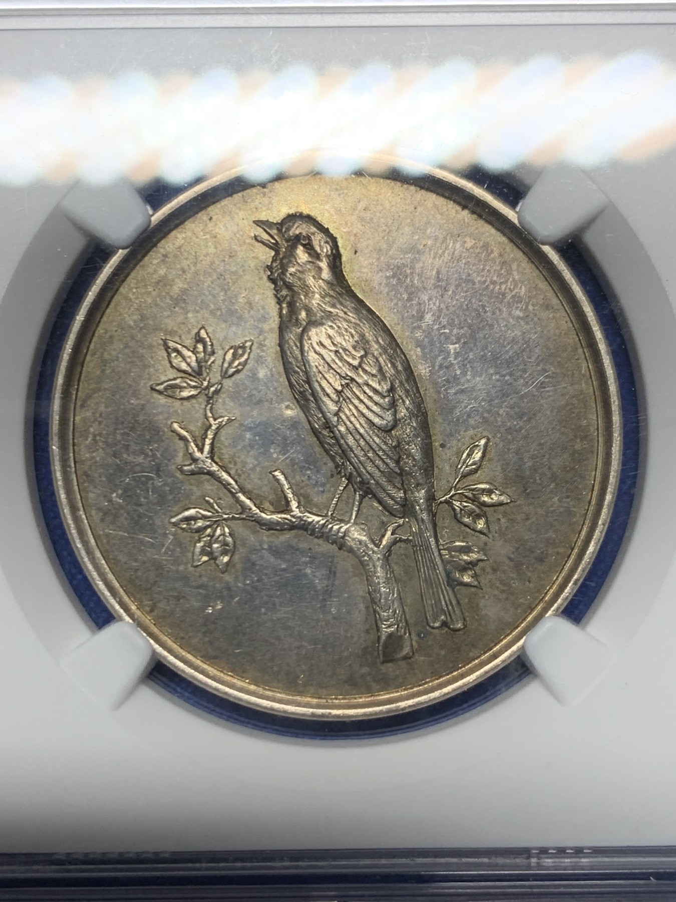 《竞宝斋》第262场-周日，周一，周二 3场连拍 (全场包邮) NGC-MS62 德国鸟类协会银章