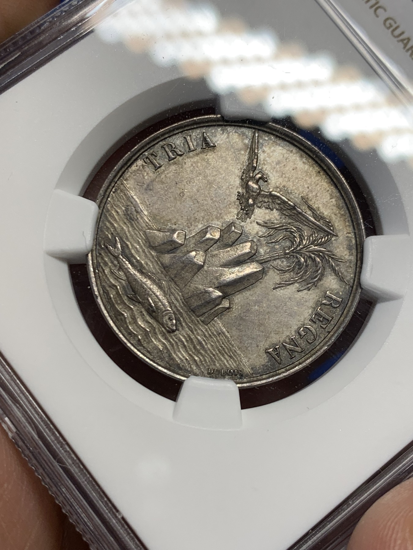 《竞宝斋》第262场-周日，周一，周二 3场连拍 (全场包邮)